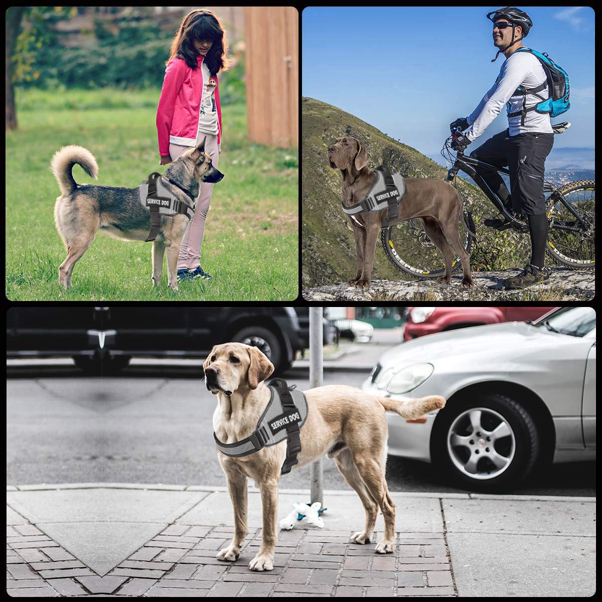 Jsxd Dog Harness,No-Pull Service Dog Harness With Handle Adjustable Outdoor Pet Dog Vest 5M Reflective Nylon Material Vest For B