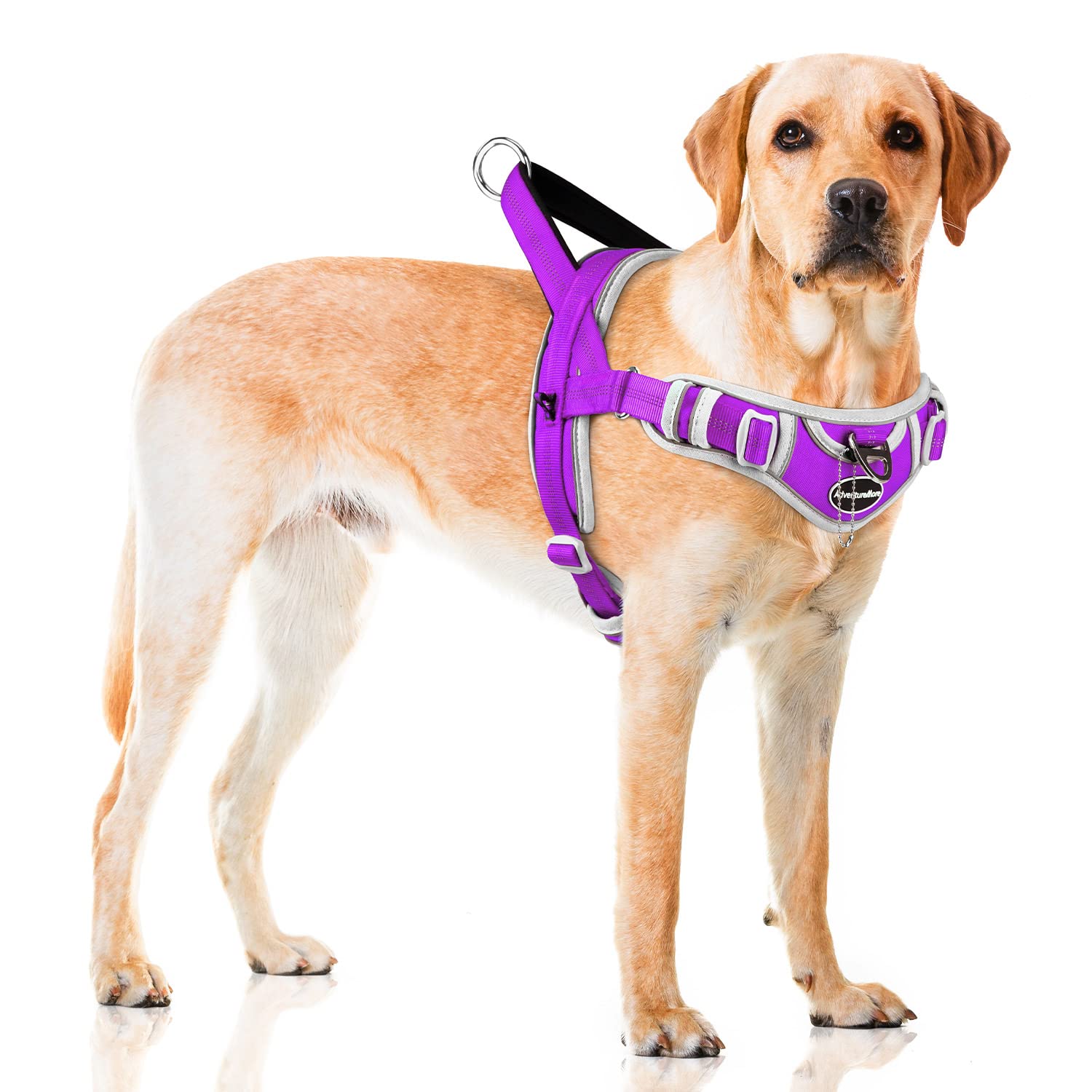 Adventuremore Dog Harness For Medium Dogs No Pull, Sport Dog Halter Harness Adjustable Reflective Dog Vest Escape Proof Dog Harness With Easy Control Front Clip Handle For Training Walking M Purple