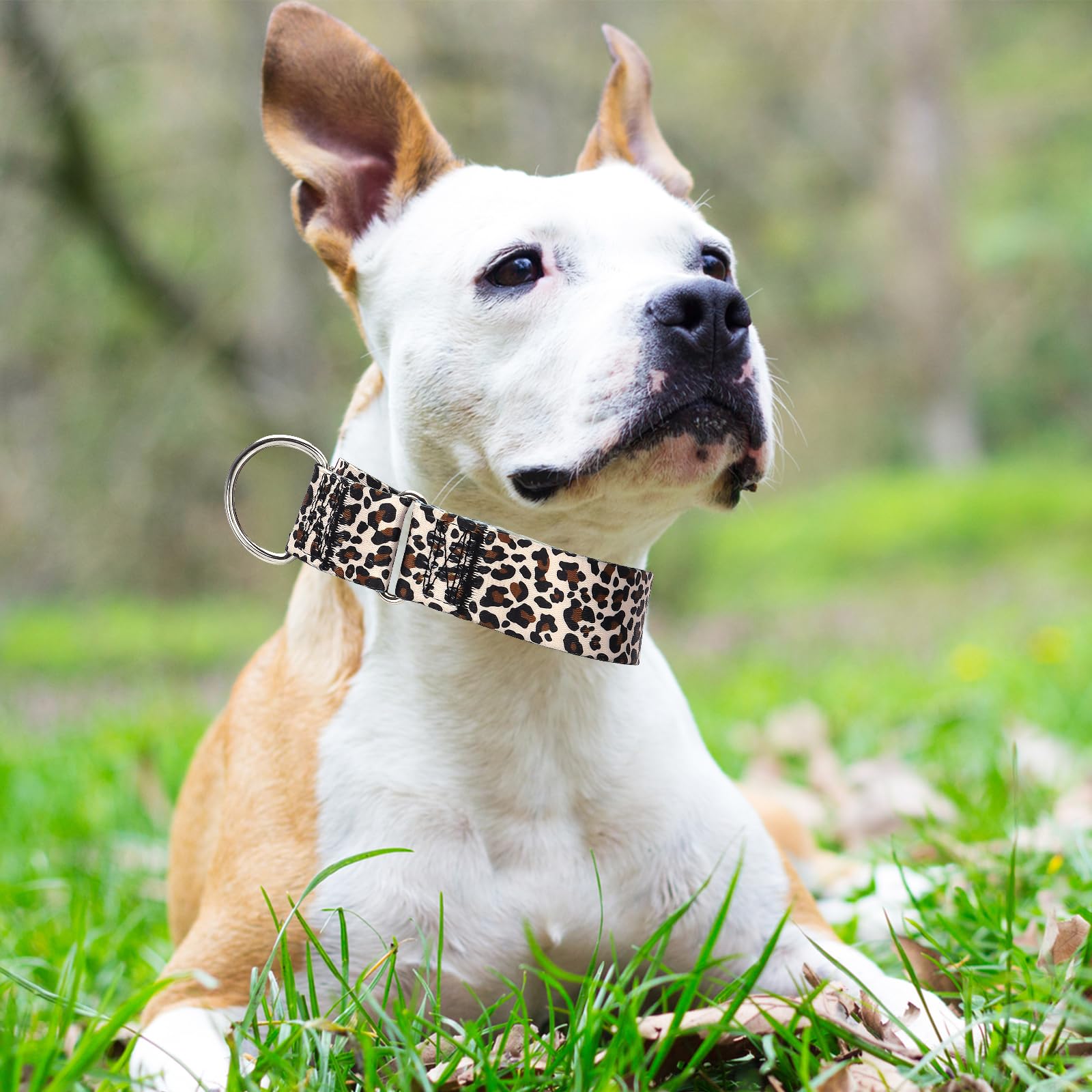 1.5 Inch Martingale Collar For Dogs - Dog Training - Big, Wide & Thick Dog Collar - Escape-Proof, Durable And Comfortable- For L