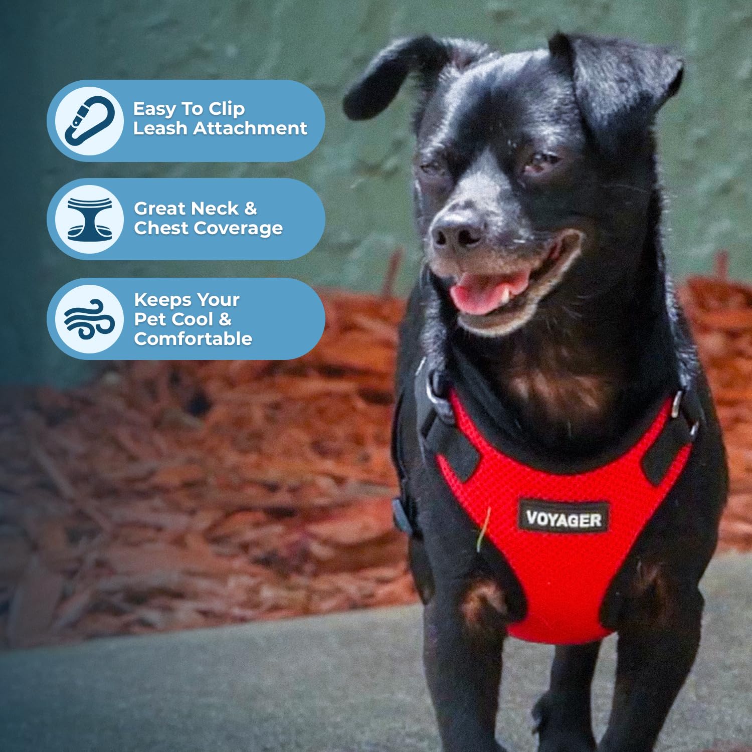 Voyager Step-In Lock Pet Harness - All Weather Mesh, Adjustable Step In Harness For Cats And Dogs By Best Pet Supplies - Red/Bla