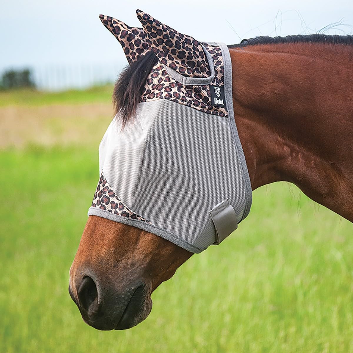 CASHEL COMPANY Patterned Crusader Fly Mask, Color: Leopard, Size: Foal/Mini Pony (CFMFSE-20LP)