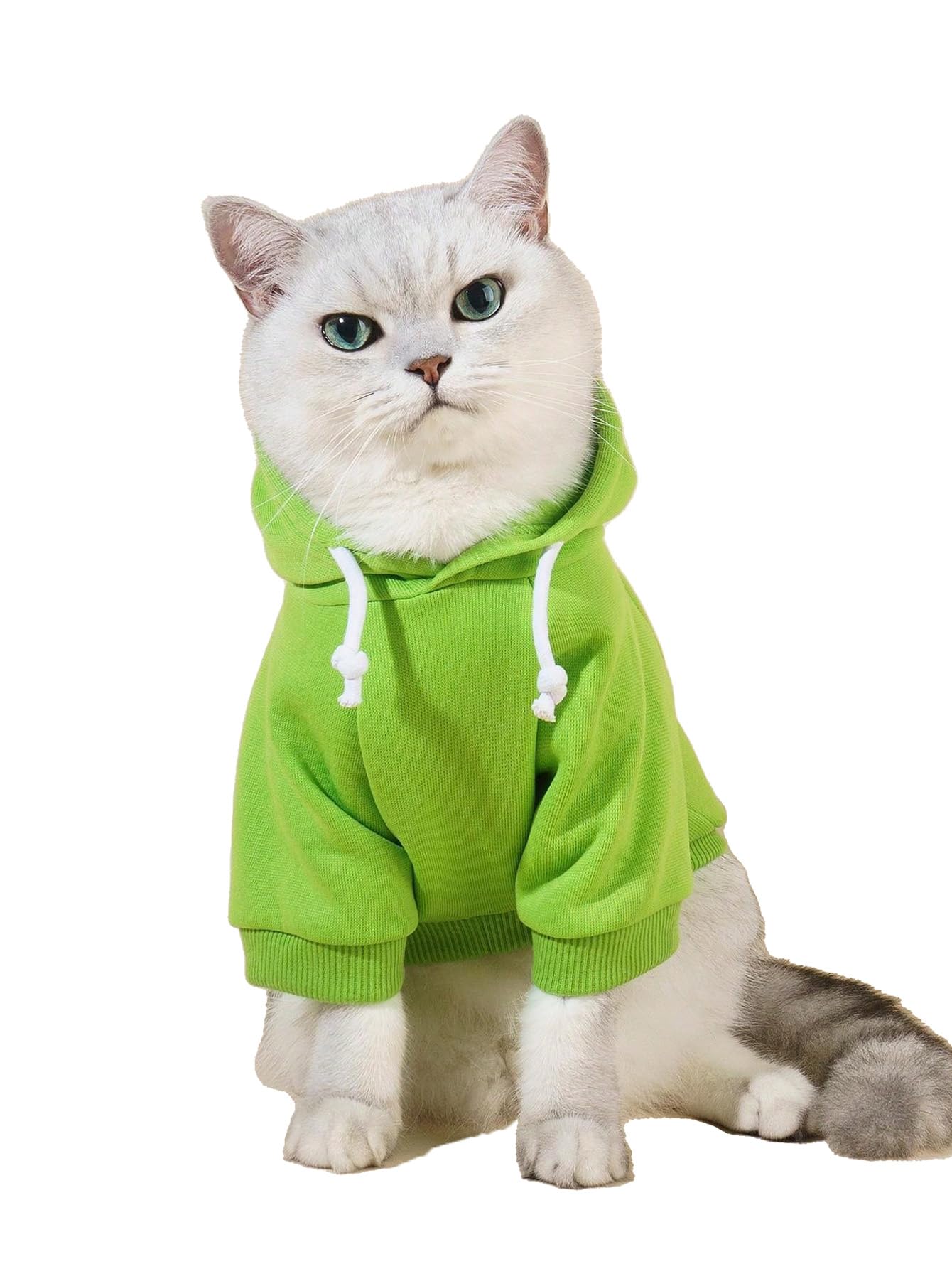 Qwinee Basic Dog Hoodie, Dog Warm Jacket, Cat Apparel, Dog Shirt, Dog Clothes For Puppy Kitten Small Medium Dogs Cats Green S