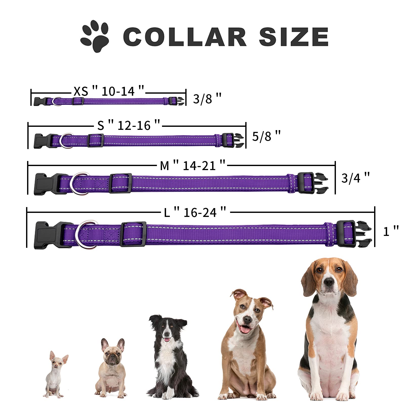 Rebnihc Reflective Dog Collar With Soft Neoprene Padded, Adjustable Nylon Dog Collar For Medium Dogs, Purple, M(3/4'' Wide, Neck 14''-21'')