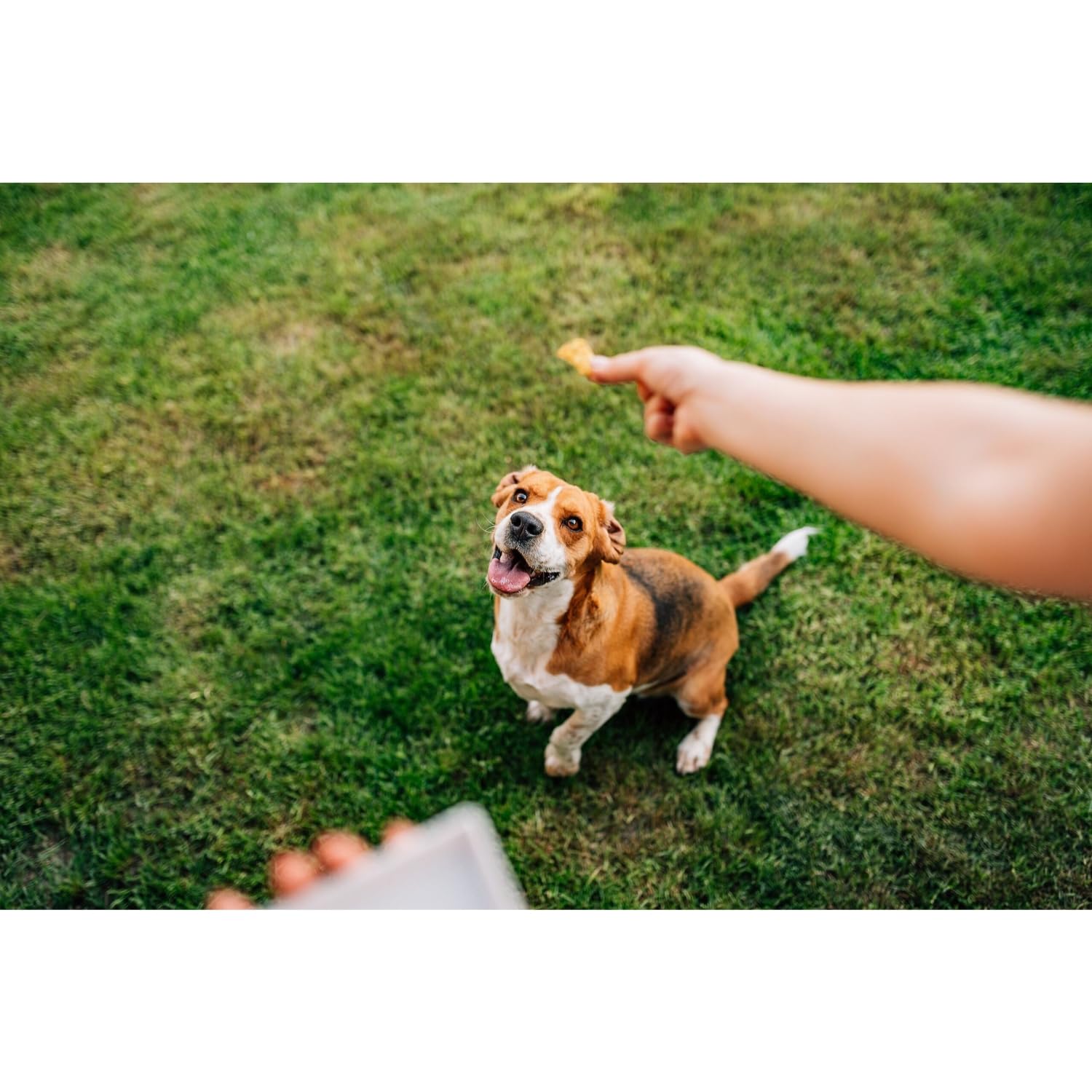 Chips Naturals Cheesy Flavored Doggie Chicken Chips - Small 4 oz Natural High Protein Low Calorie Dog Treats, Grain Free Gluten