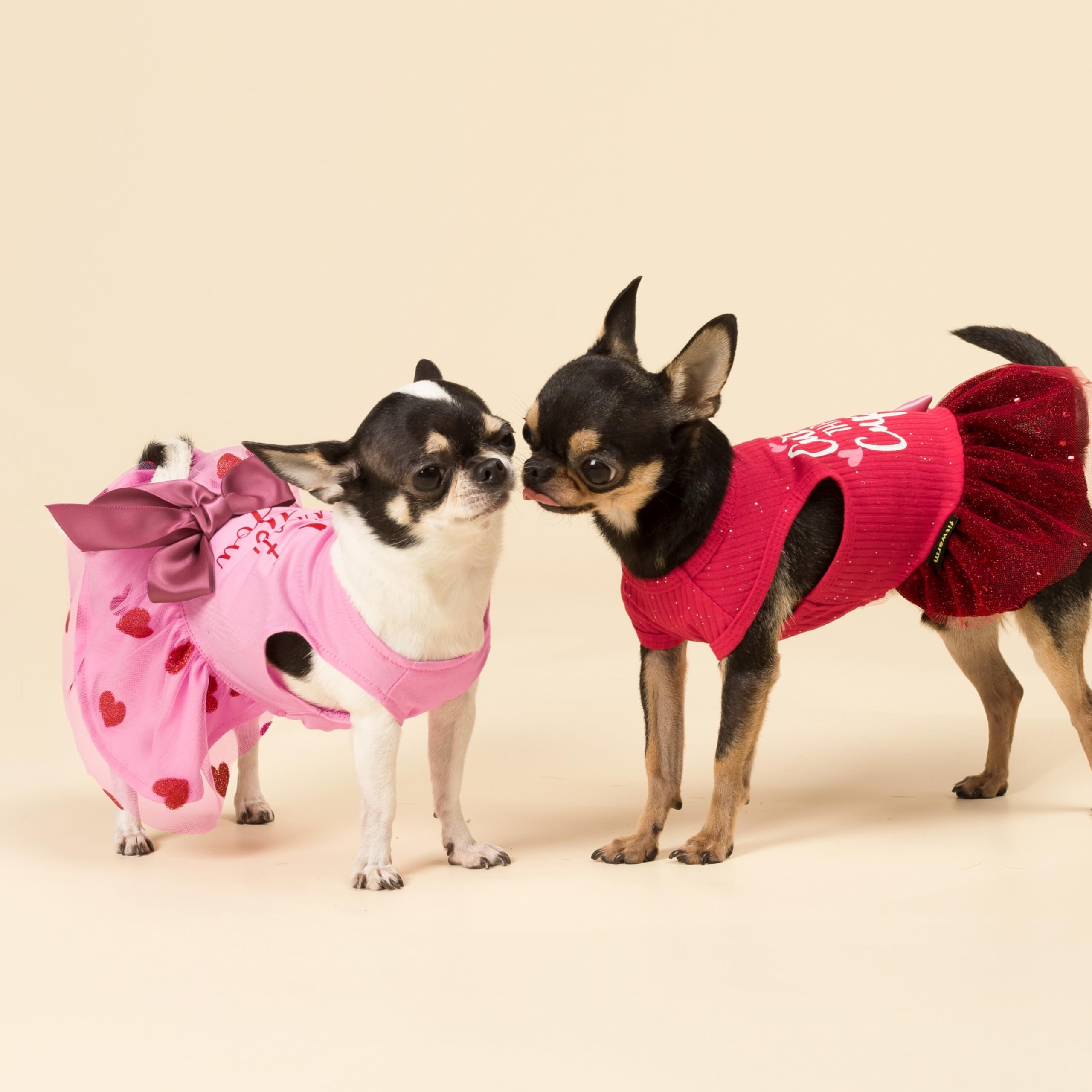 Fitwarm Cuter Than Cupid Dog Tulle Dress, Cute Girl Dog Clothes, Funny Pet Apparel, Burgundy Red, Xs