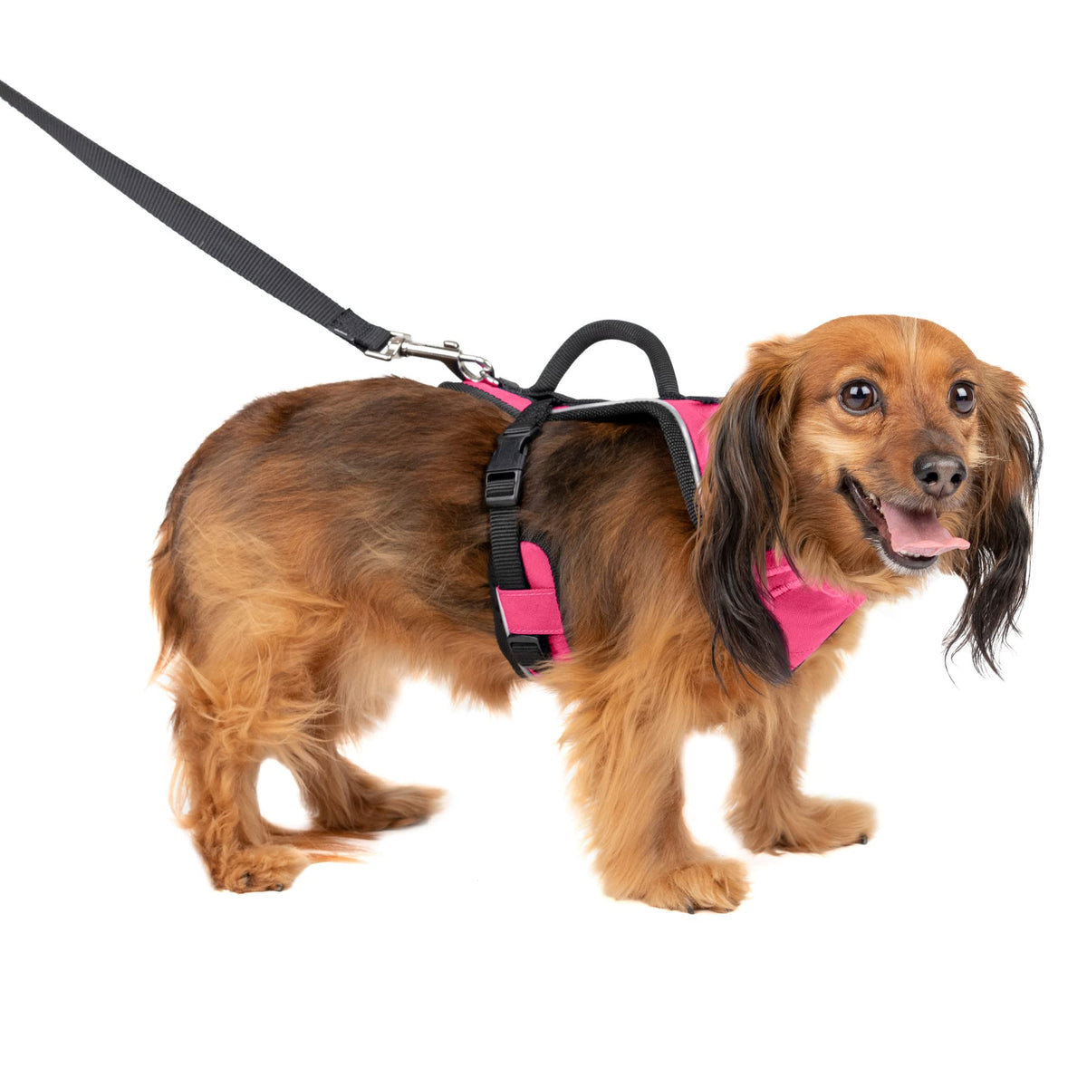 Petsafe Easysport Dog Harness – Adjustable Padded Dog Harness With Control Handle And Reflective Piping – Extra Small, Pink