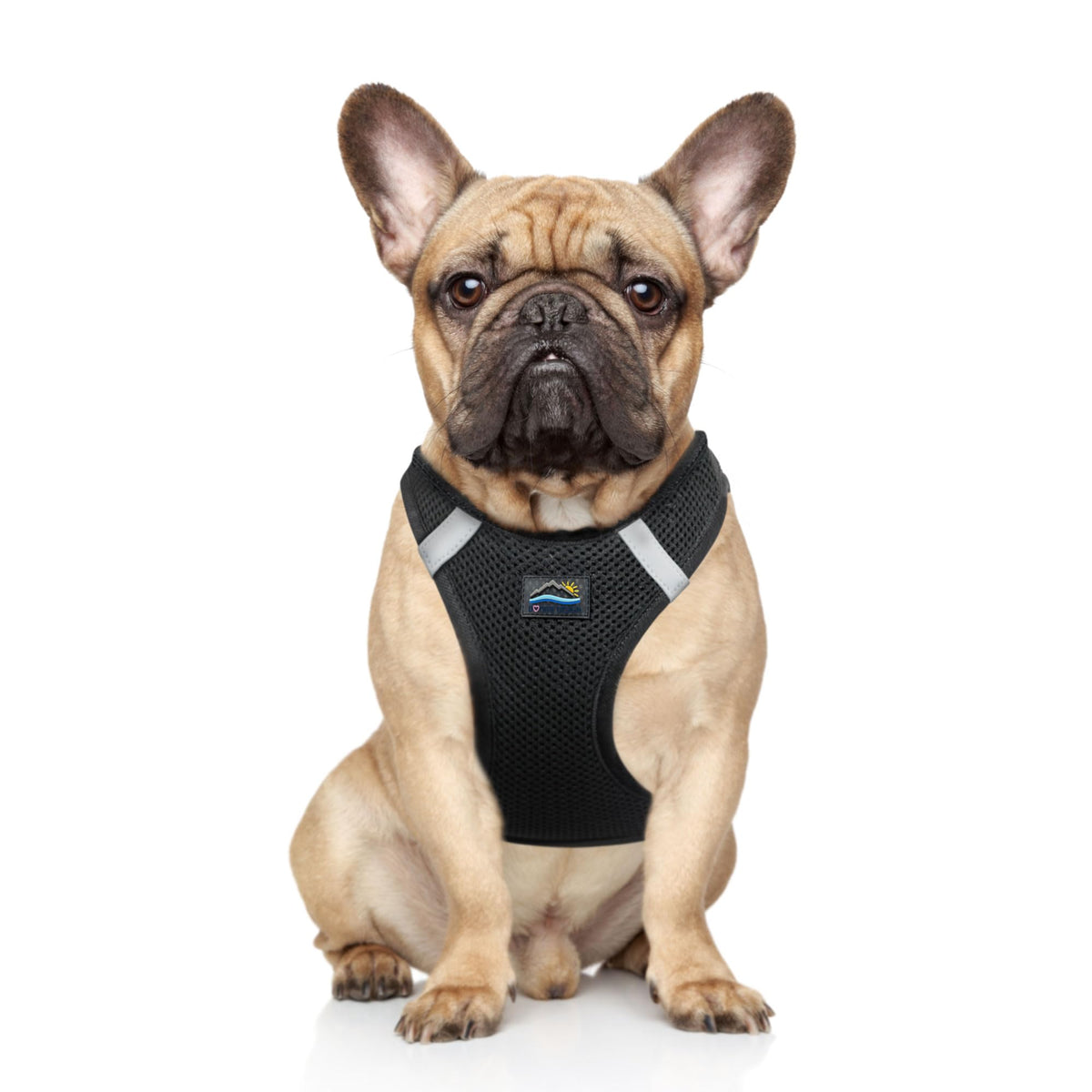 Doggie Design Dog Harness - No Choke Dog Harness, Dog Vest, Mesh Polyester, Pet Harness, Simple Step In And Go Design, Harness For Dog - Black, M