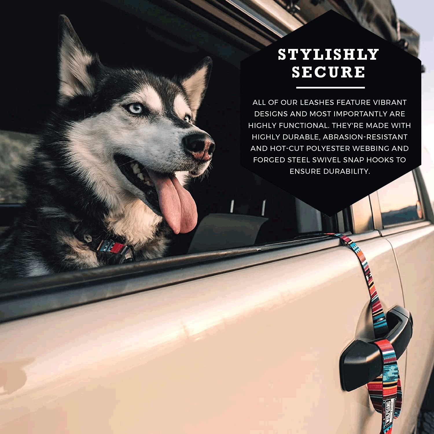 Wolfgang Heavy Duty Dog Leash - Pull-Tested 800 lbs, Small Size, Quetzal Print, Single Handle (5/8" x 4')