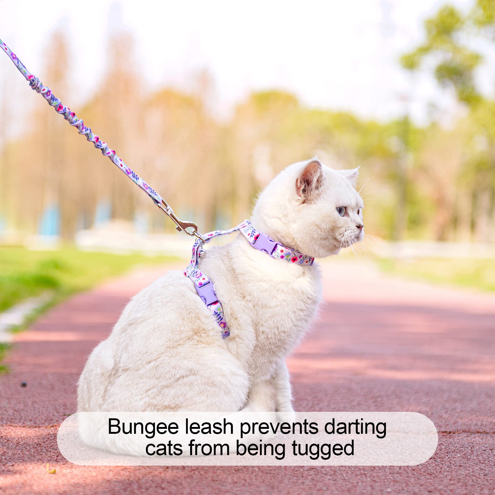 BEAUTYZOO Cat Harness and Leash Set Escape Proof for Walking, Kitten Soft Adjustable Vest Harnesses for Small Medium Large Cats,