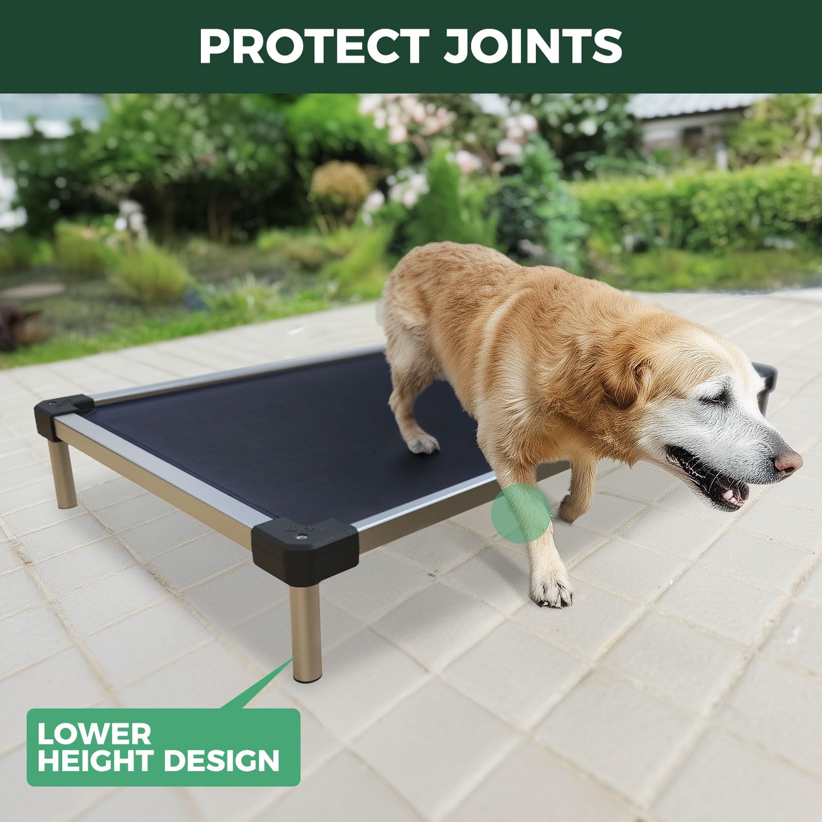 FXW TitanNest Cooling Chew-Proof Elevated Dog Bed, Washable Raised Cot for Indoor/Outdoor/Camping Use, Waterproof & Durable Pet
