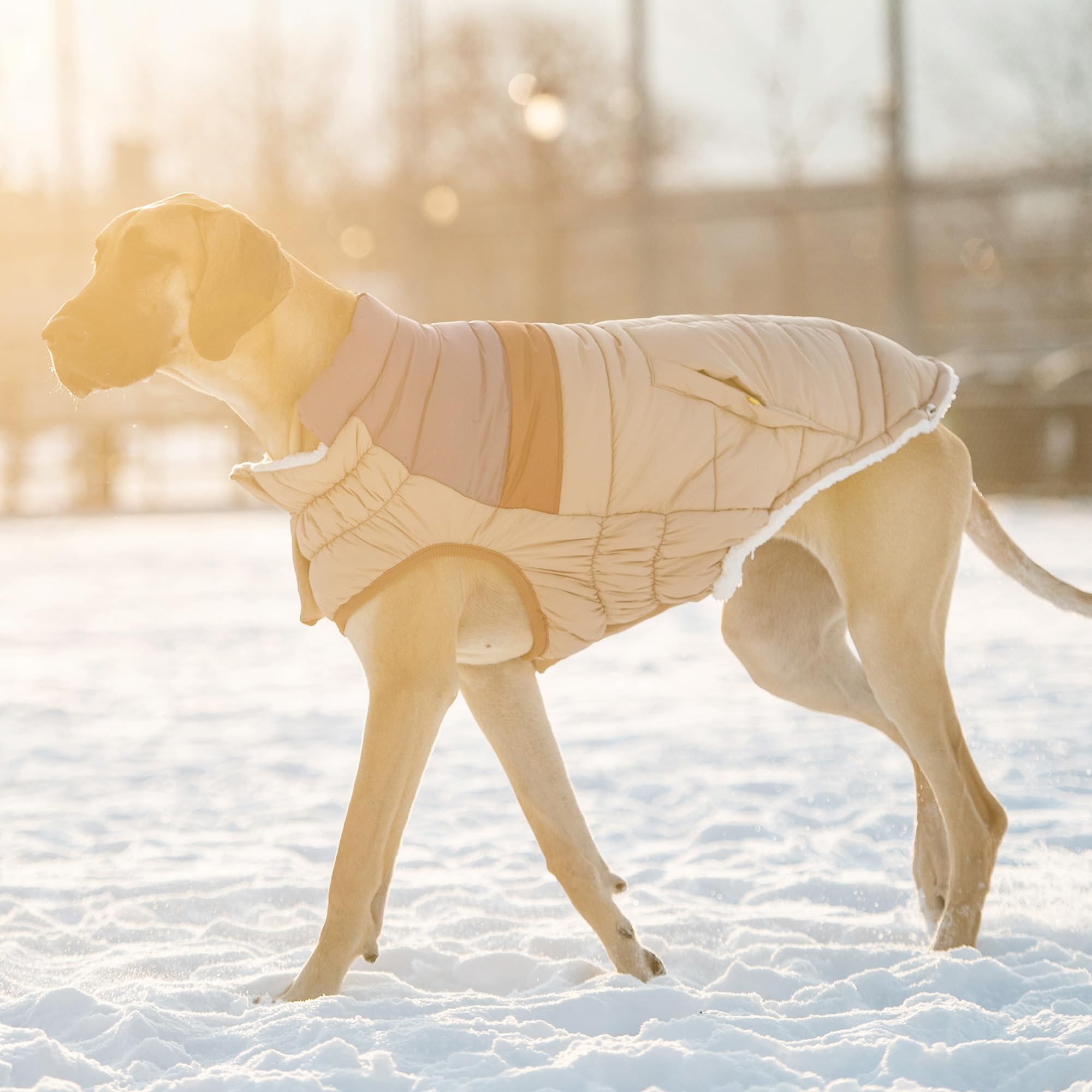 Elasto-Fit Classic Puffer Dog Jacket - Quilted Winter Pet Coat With Adjustable Straps, Waterproof Insulated Dog Outerwear For Small Medium Large Dogs, Easy On Off Design - Sand, X-Small