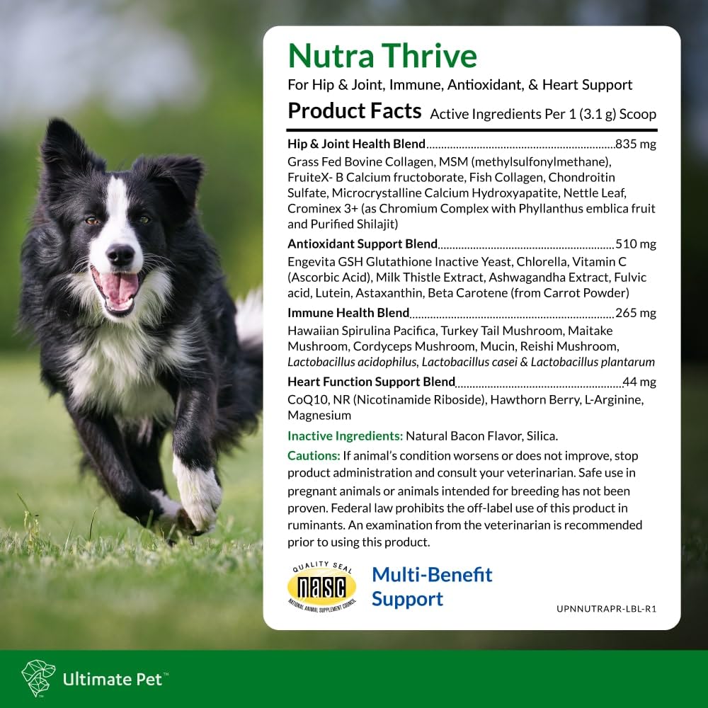 Ultimate Pet Nutrition Nutra Thrive Canine, 40-in-1 Nutritional Powder Supplement for Dogs with Digestion and Immune Support, Vi