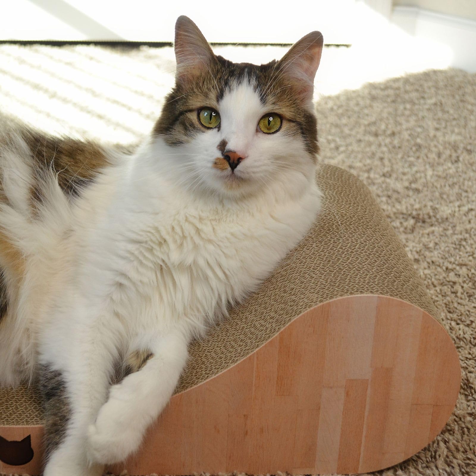 Necoichi Cardboard Cat Scratcher Bed For Indoor Cats - Cat Scratching Board, Horizontal Cat Scratch Pad Lounger With Reversible