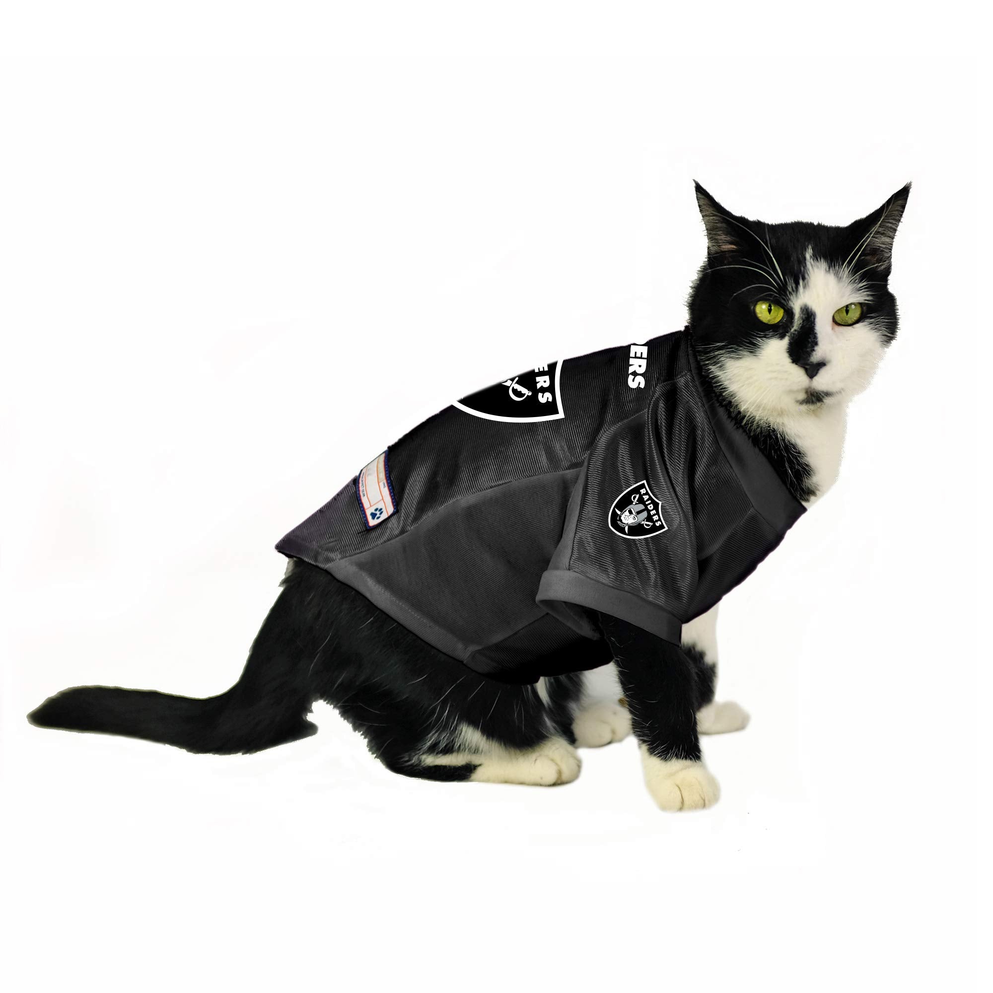 Littlearth Las Vegas Raiders Nfl Stretch Pet Jerseys Las Vegas Raiders X-Small