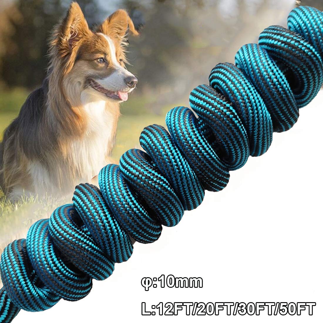 Btinesful Tie-Out Check Cord Long Rope Dog Leash, 12Ft 20Ft 30Ft 50Ft Recall Training Lead Leash- Great For Large Medium Small D