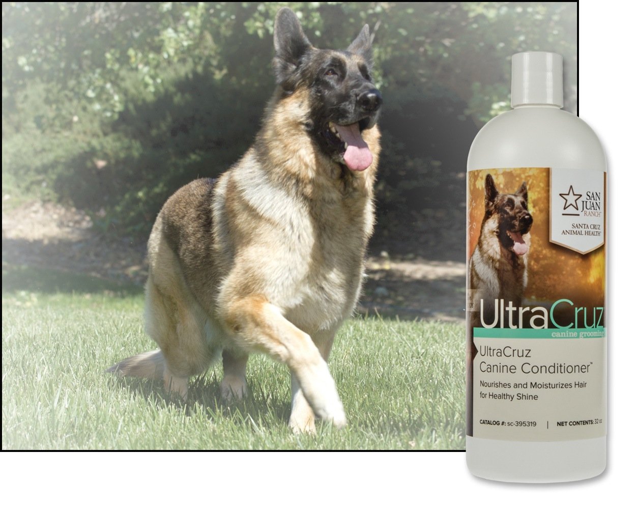 Ultracruz - Sc-395319 Canine Conditioner For Dogs, 32 Oz