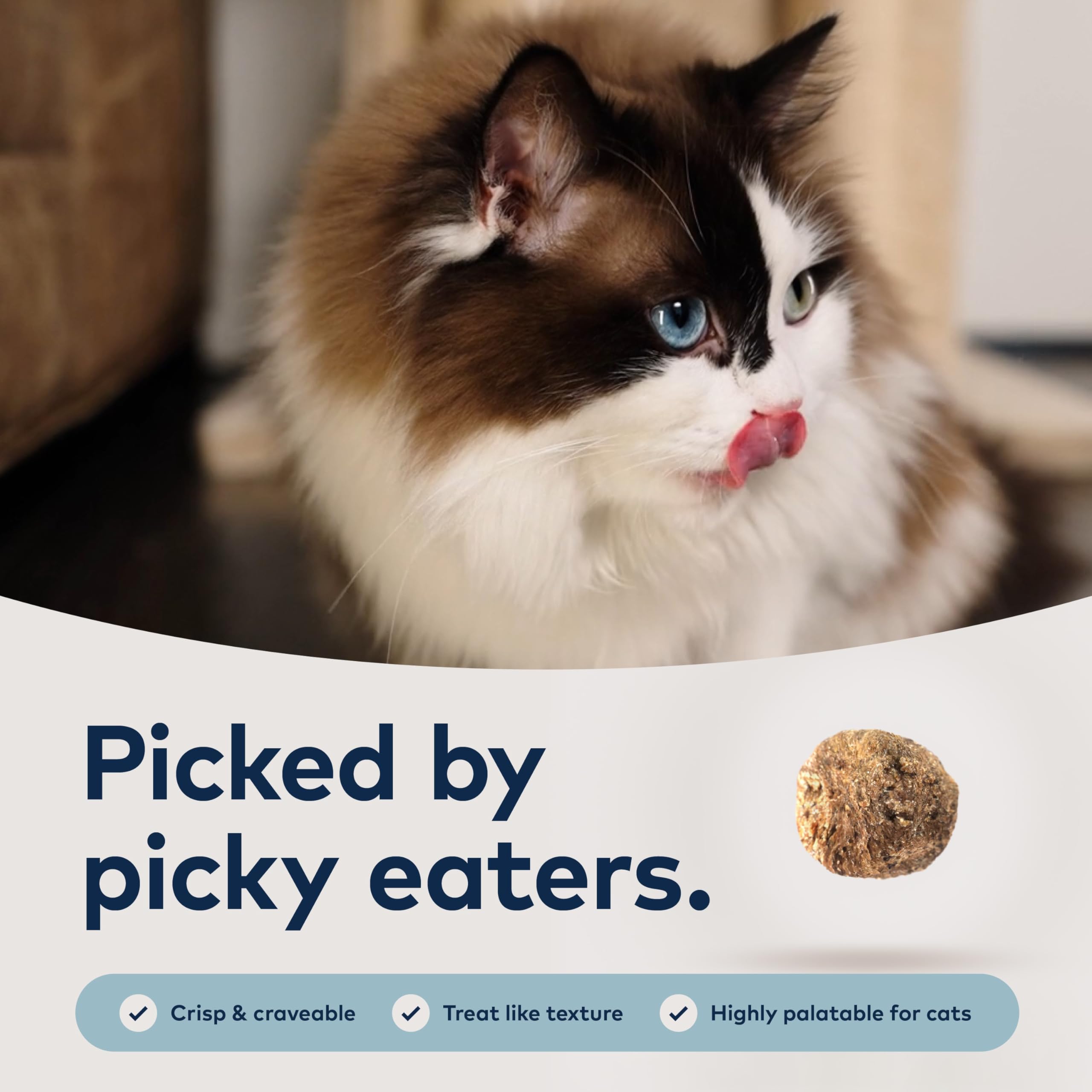 ZIWI Peak Steam & Dried Cat Food - Beef w/Southern Blue Whiting Fish - High Protein, Skin & Coat Health, Low Carb, for All Life