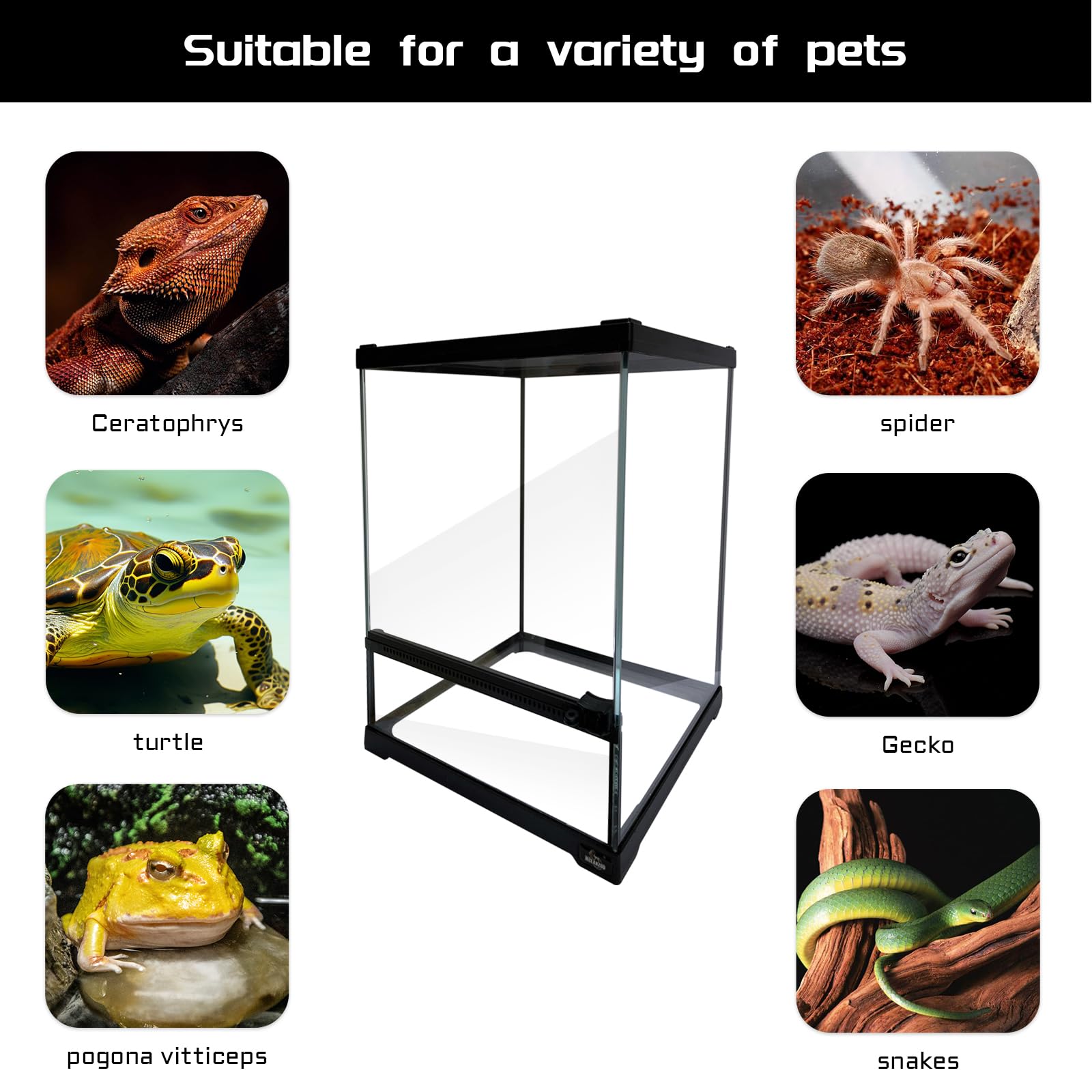 Waazoorep Reptile Glass Terrarium Tank 10 * 10 * 14In, Full View With Front Opening Door,Amphibians Enclosure Habitat Cage For L