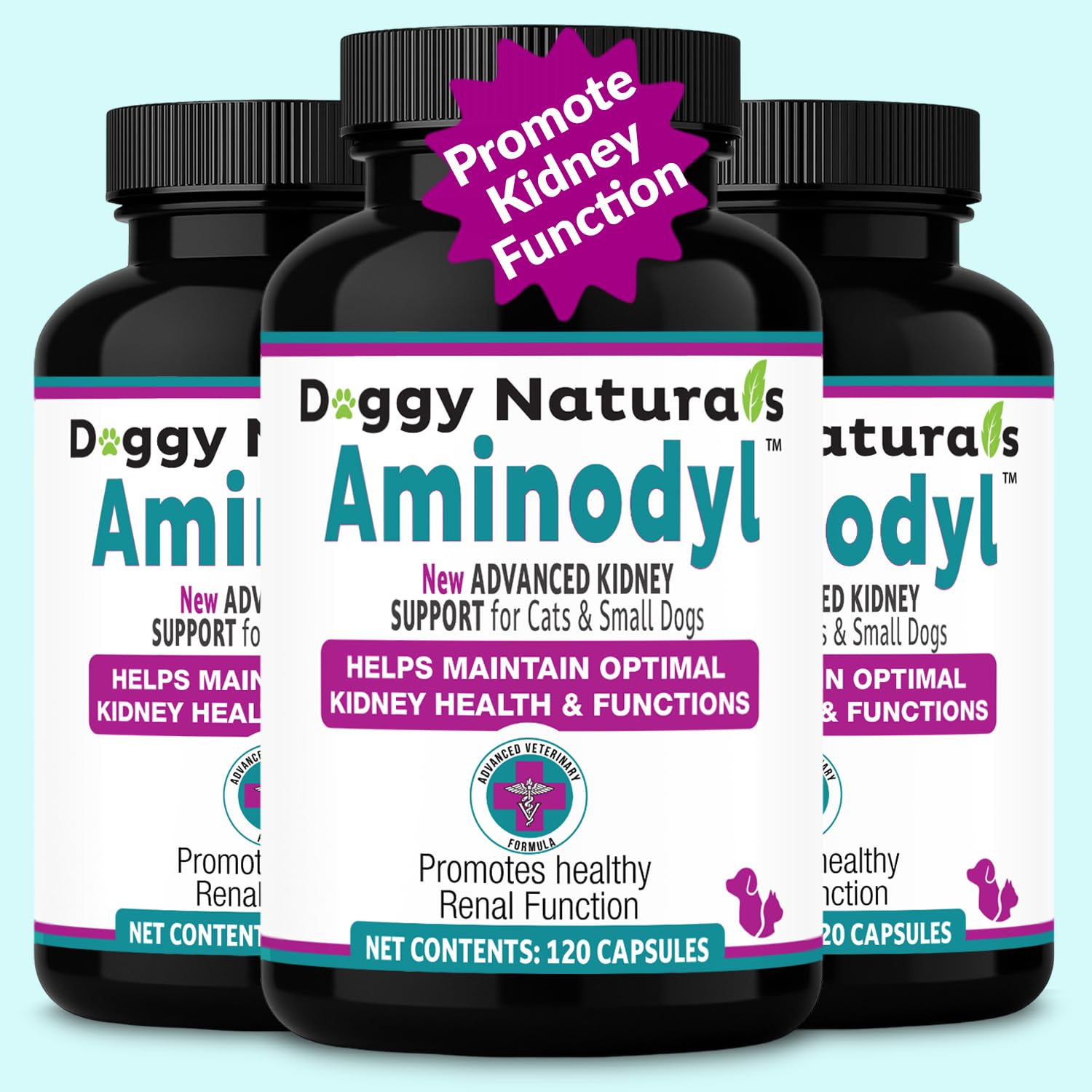 Aminodyl Kidney Support Supplement 400mg for Cats & Small Dogs - Promotes Healthy Kidney Function in Cats - Promotes Health, Wel