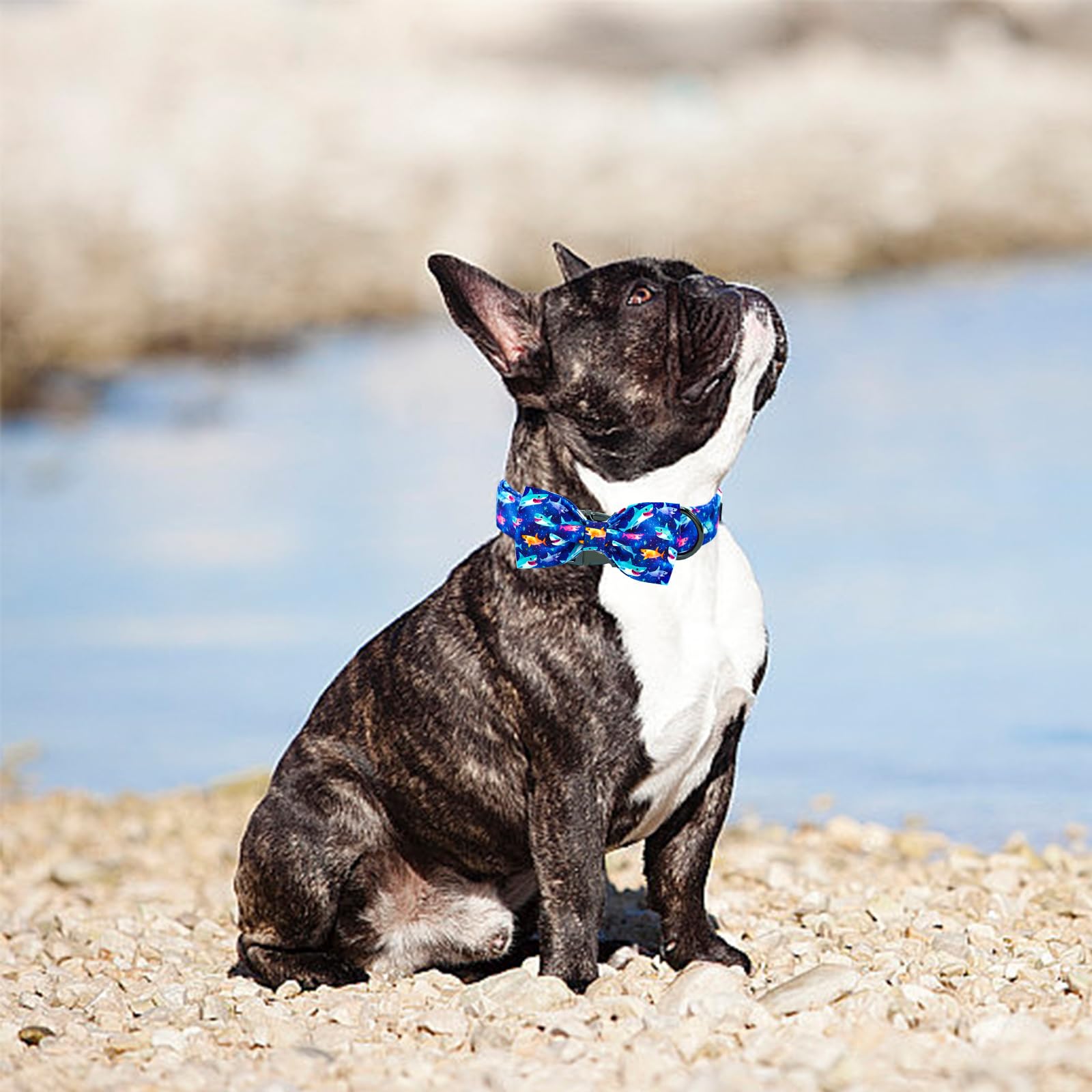 Elegant Little Tail Dog Collar- Cute Shark Dog Collar With Bow For Small Puppy, Male Adjustable Cotton Summer Pet Holiday Puppy