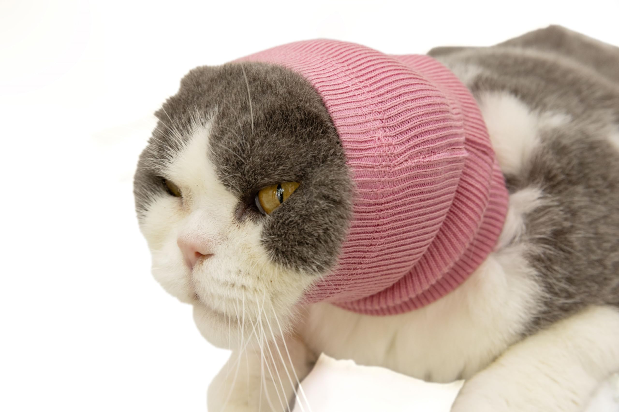 DDFS Cat Ear Cover Calm Cat Ear Wrap Neck Hematoma Compression Comfort Ear Wrap for Cats Wine Red S