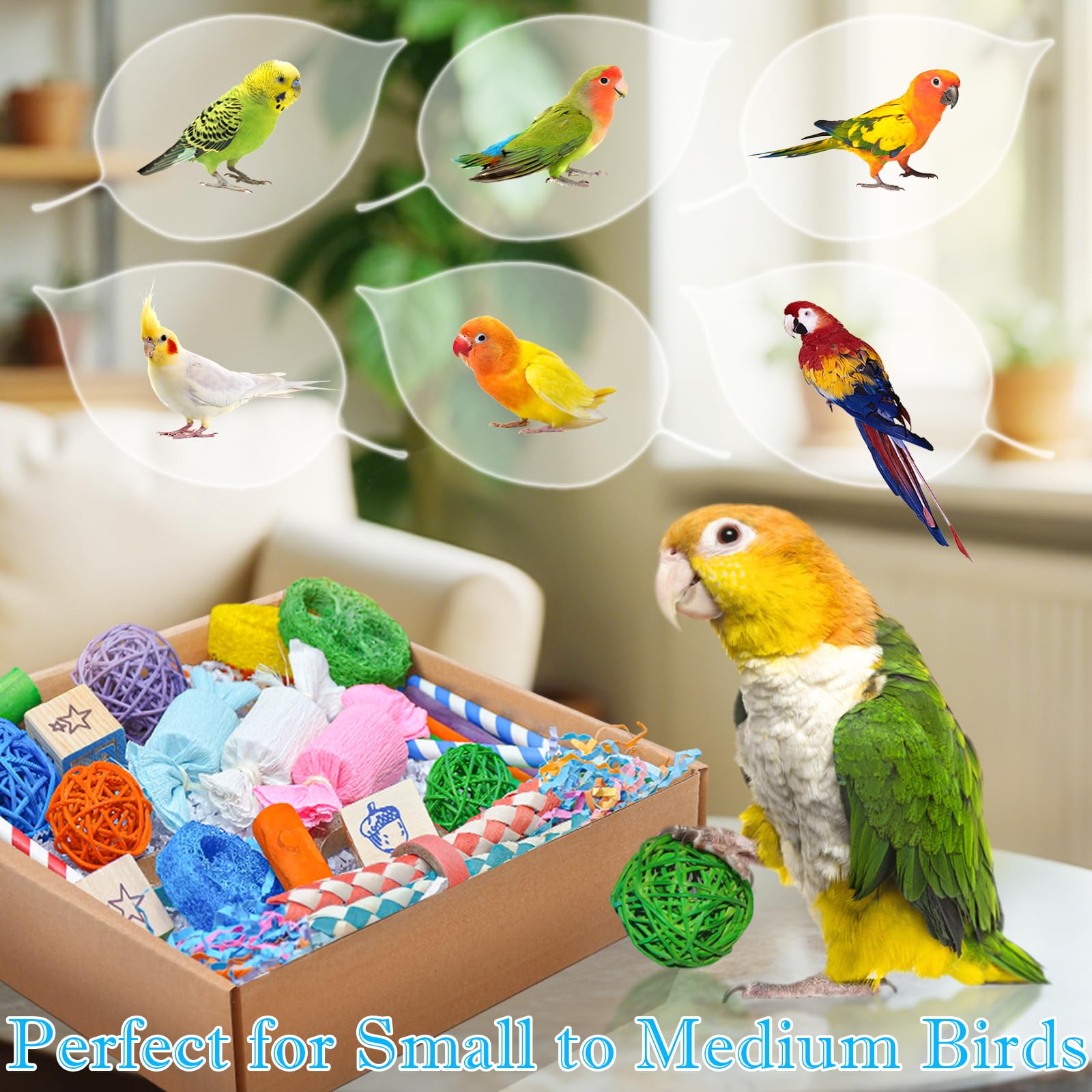 HOSUKU Colorful Bird Foraging & Shredding Toys Box - Safe Bird Toys for Parakeets, Cockatiels, Conures & Small Birds, Perfect fo