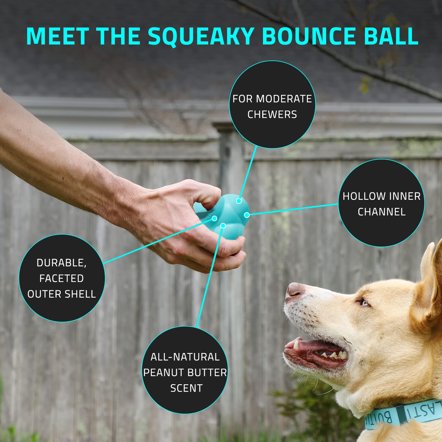 Playology Squeaky Bounce Ball Dog Toy, for Large Dog Breeds (35lbs and Up) - for Heavy Chewers - Engaging All-Natural Peanut But
