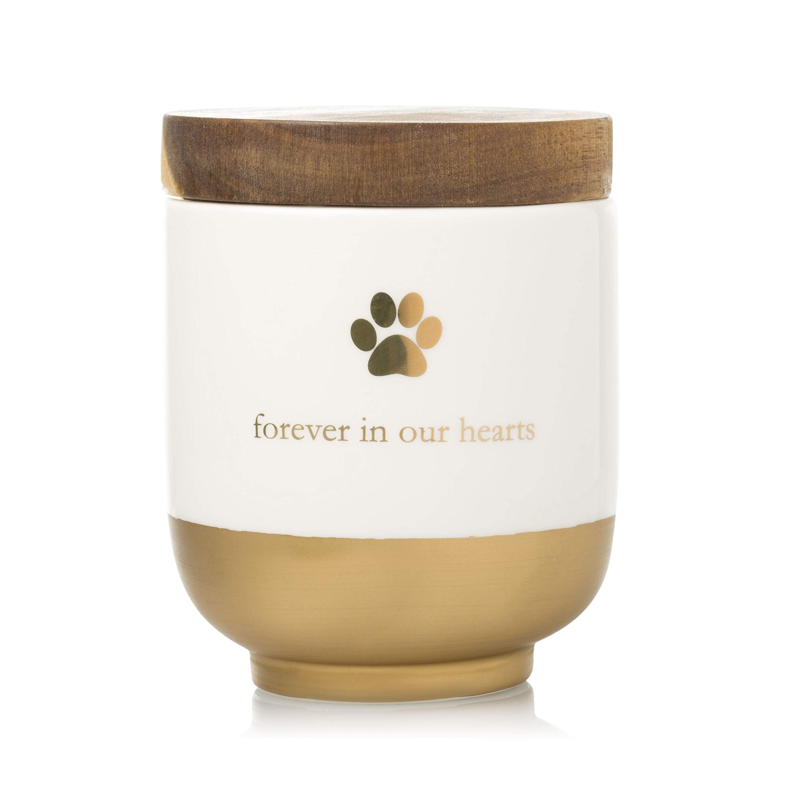 Pearhead Pet Ceramic Forever In Our Hearts Urn, Pet Memorial, Dog Or Cat Keepsake Urn, Rainbow Bridge, Gold