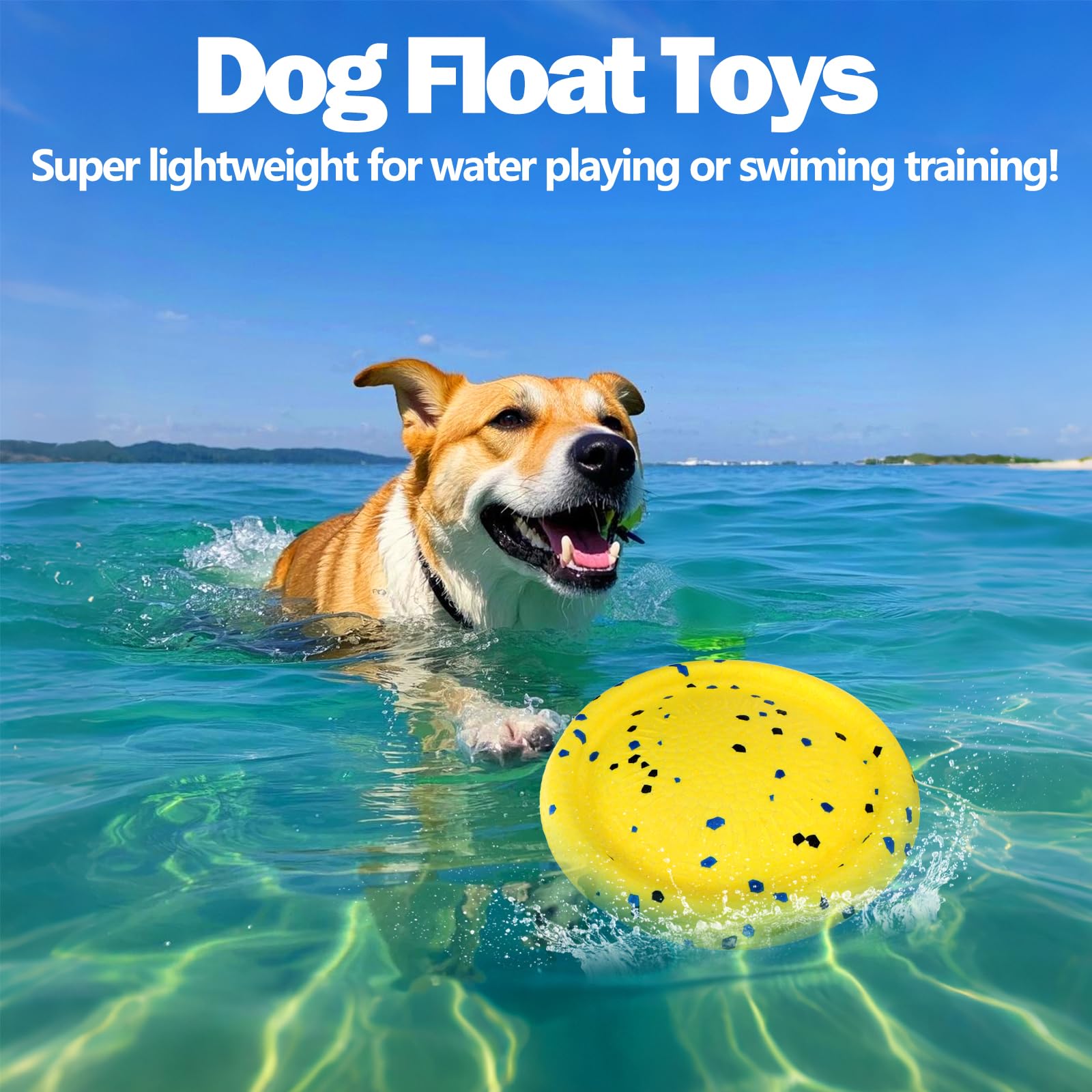 Floating Dog Toys -E-Tpu Water Pool Fetching Toy With Rope For Small Medium Large Pet, Ring And Plate Shape Indestructible Inter