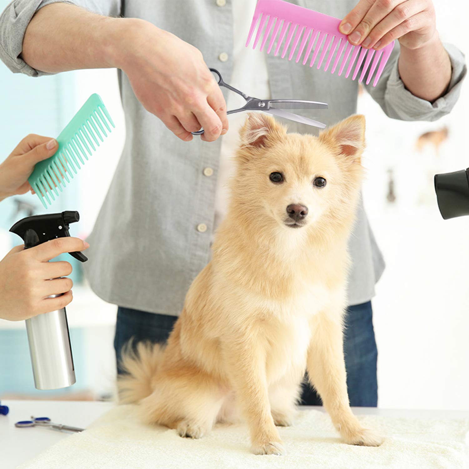 6.5 Inch Downward Curved Dog Grooming Scissors Pet Thinning Texturizing Shears Professional Safety Blunt Tip Trimming Shearing For Dogs Cats Face Paws Limbs Japanese Stainless Steel Silver