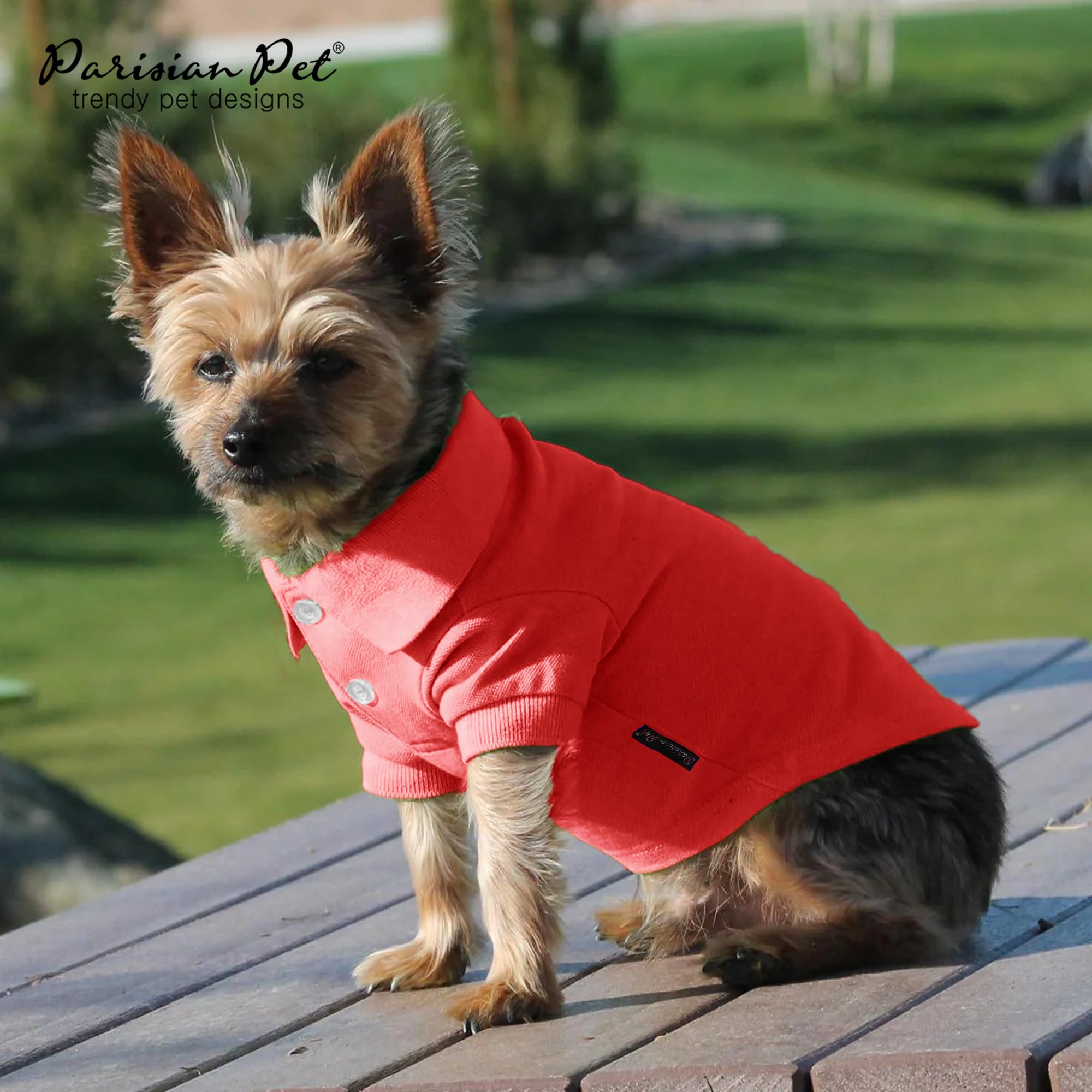 Parisian Pet Polo Shirts - Breathable Cotton Shirts For Dogs - Solid Red Summer Pullover - Button Up Collar For Medium Dogs