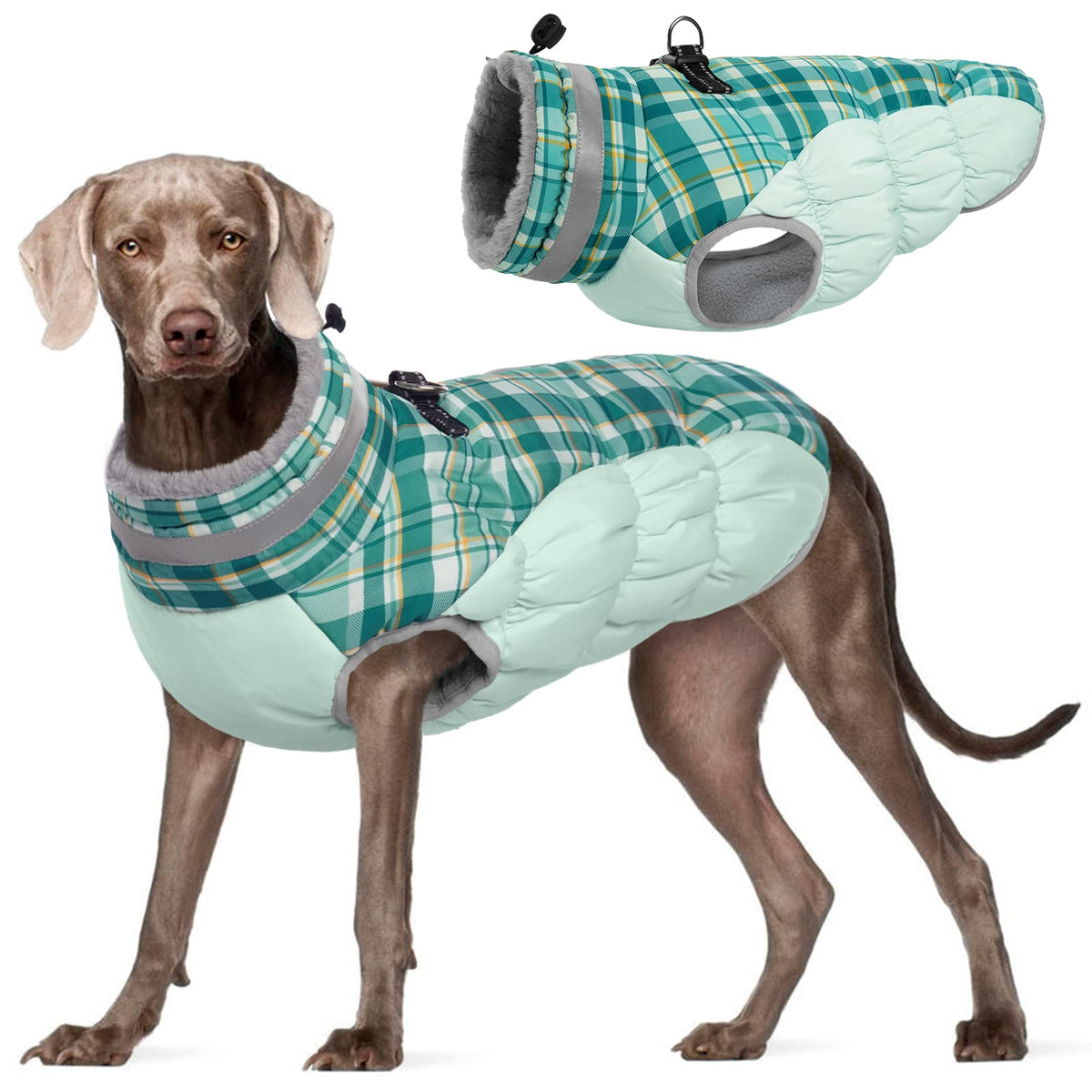 C111-Fuamey-126Mf-3-Green Plaid -Xxxl