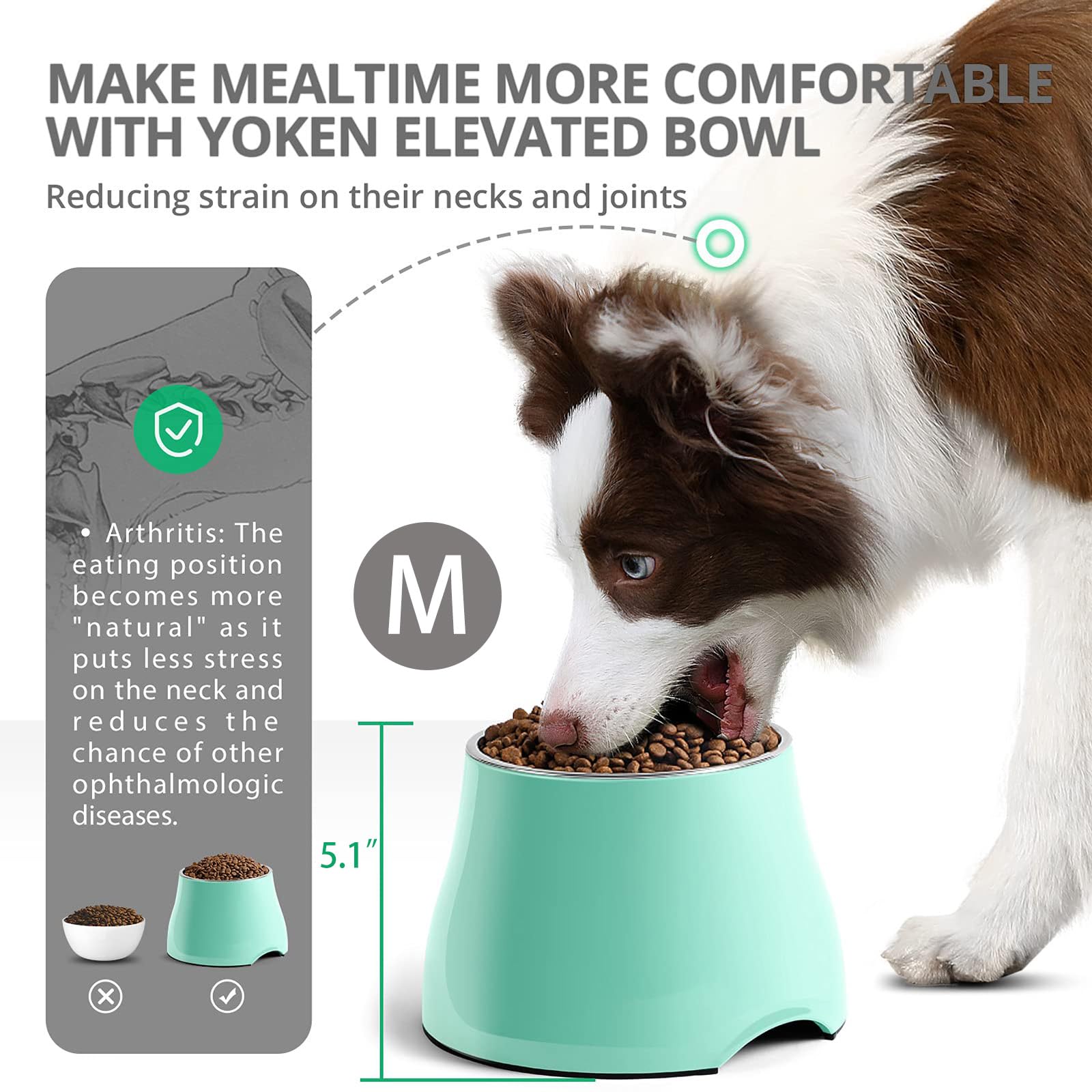 Fluffydream Elevated Dog Bowls, Prevention of Vertebrae Disease, Non-Slip With Stainless Steel Bowl, High Capacity Food Bowls (M