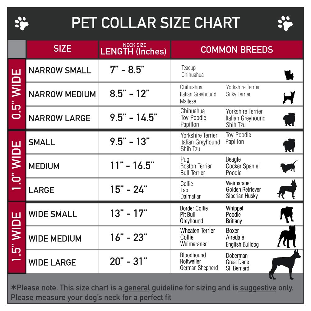 Dog Collar Plastic Clip Steal Your Face Lightning Bolt Repeat Red White Blue 15 To 26 Inches 1.0 Inch Wide, Multicolor (Pc-Wgd019-L)