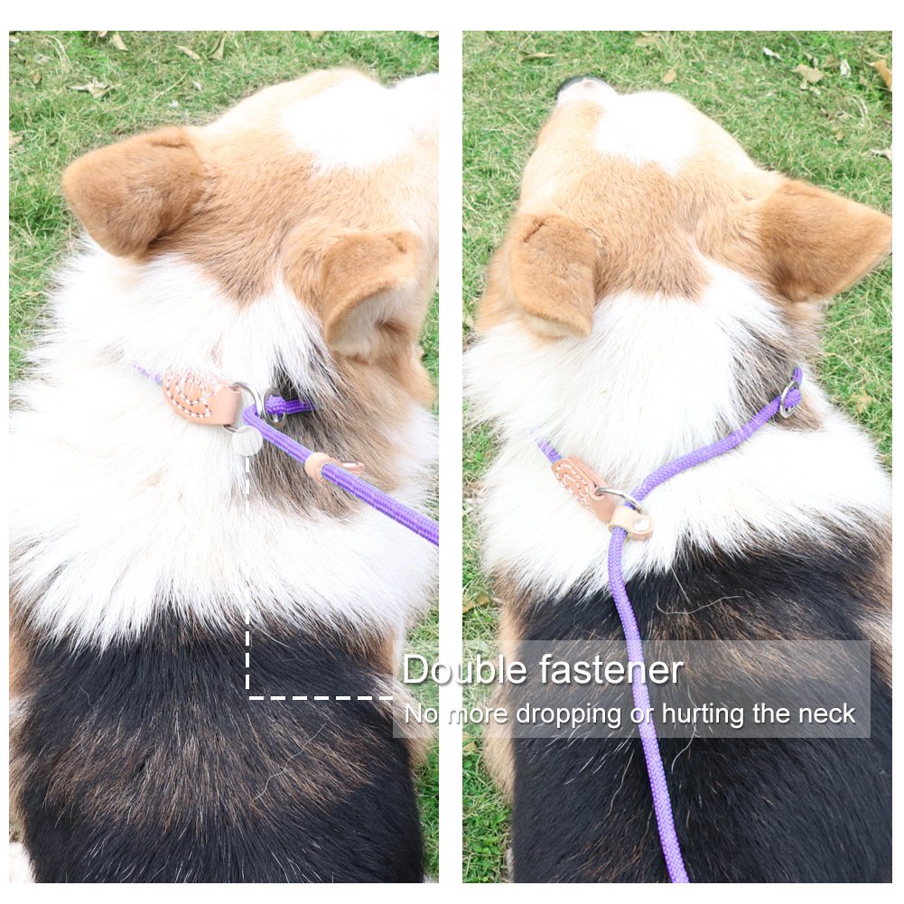 Grand Line Slip Lead Dog Leash, 5Ft Reflective Slip Rope, Puppy Training Walking Controlling Lead, Slip Collar Pet Leash For Small, Medium, Large Dogs (Purple, Small-1/4In X 5Ft)