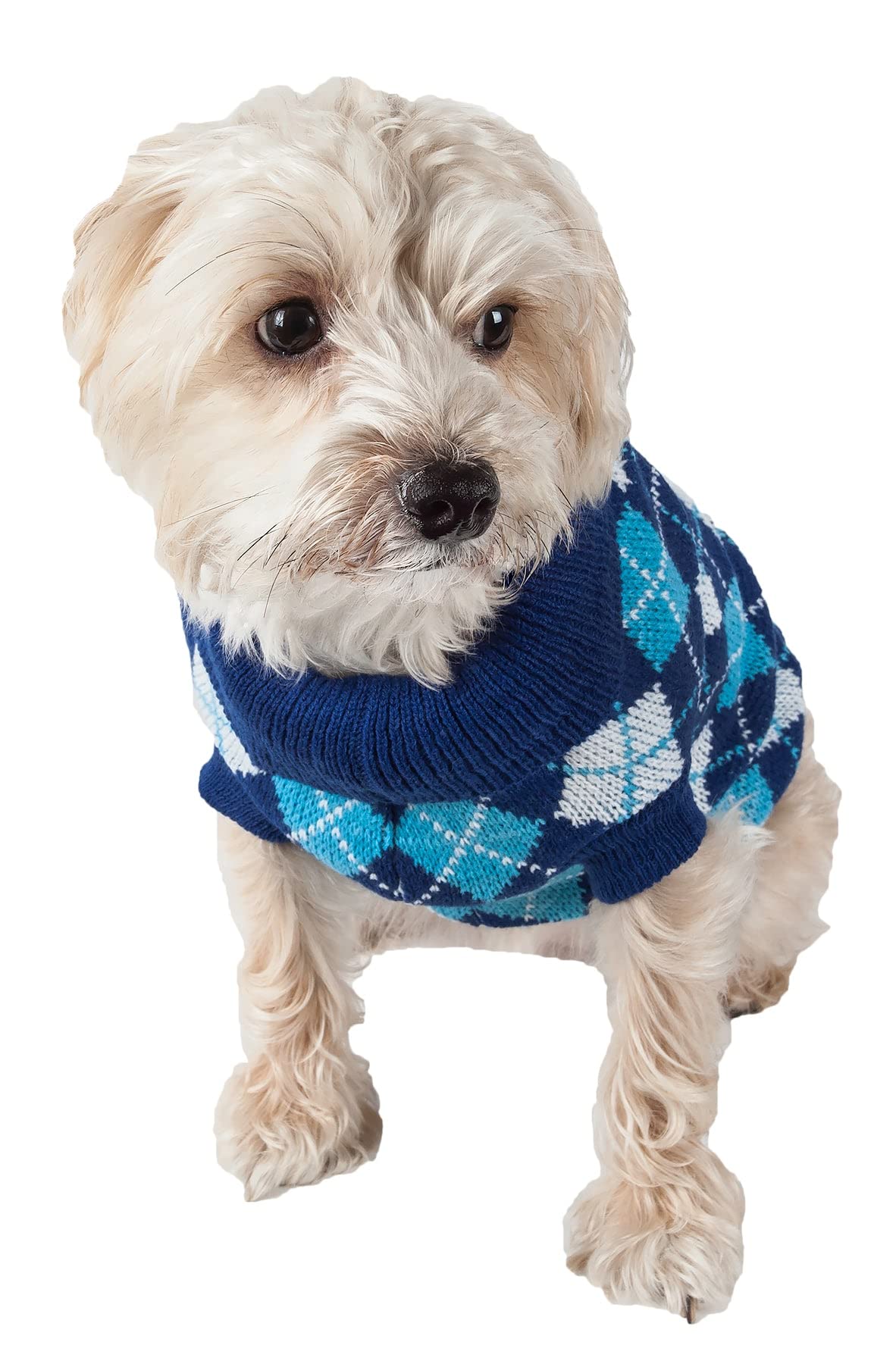 Pet Life Argyle Style Ribbed Fashion Designer Pet Dog Sweater, Small, Black/Blue Argyle