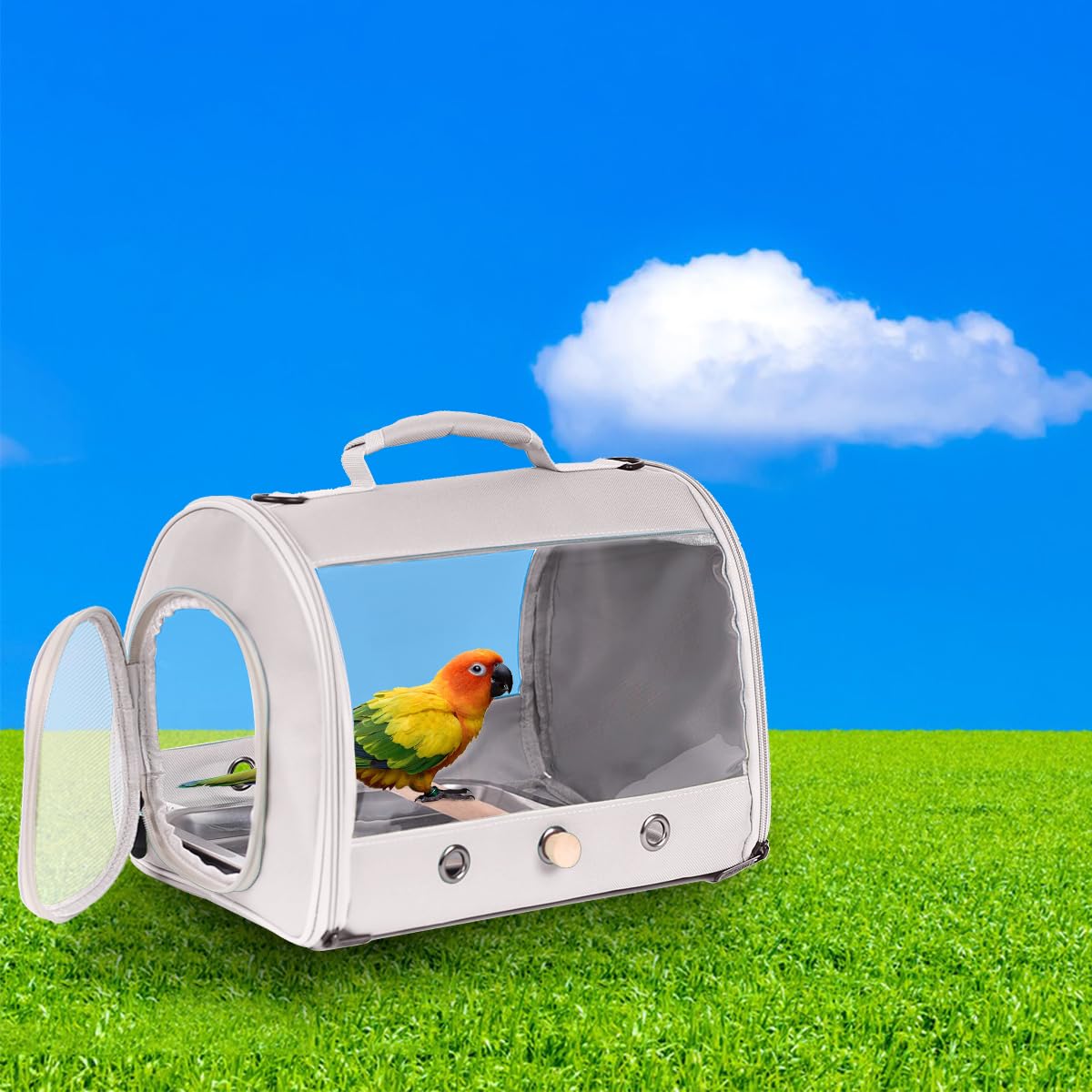 Small Bird Travel Carrier Cage for Long Tail Bird Parakeet Parrot, Includes Metal Tray Soft Mat and Wooden Standing Perch, Hands