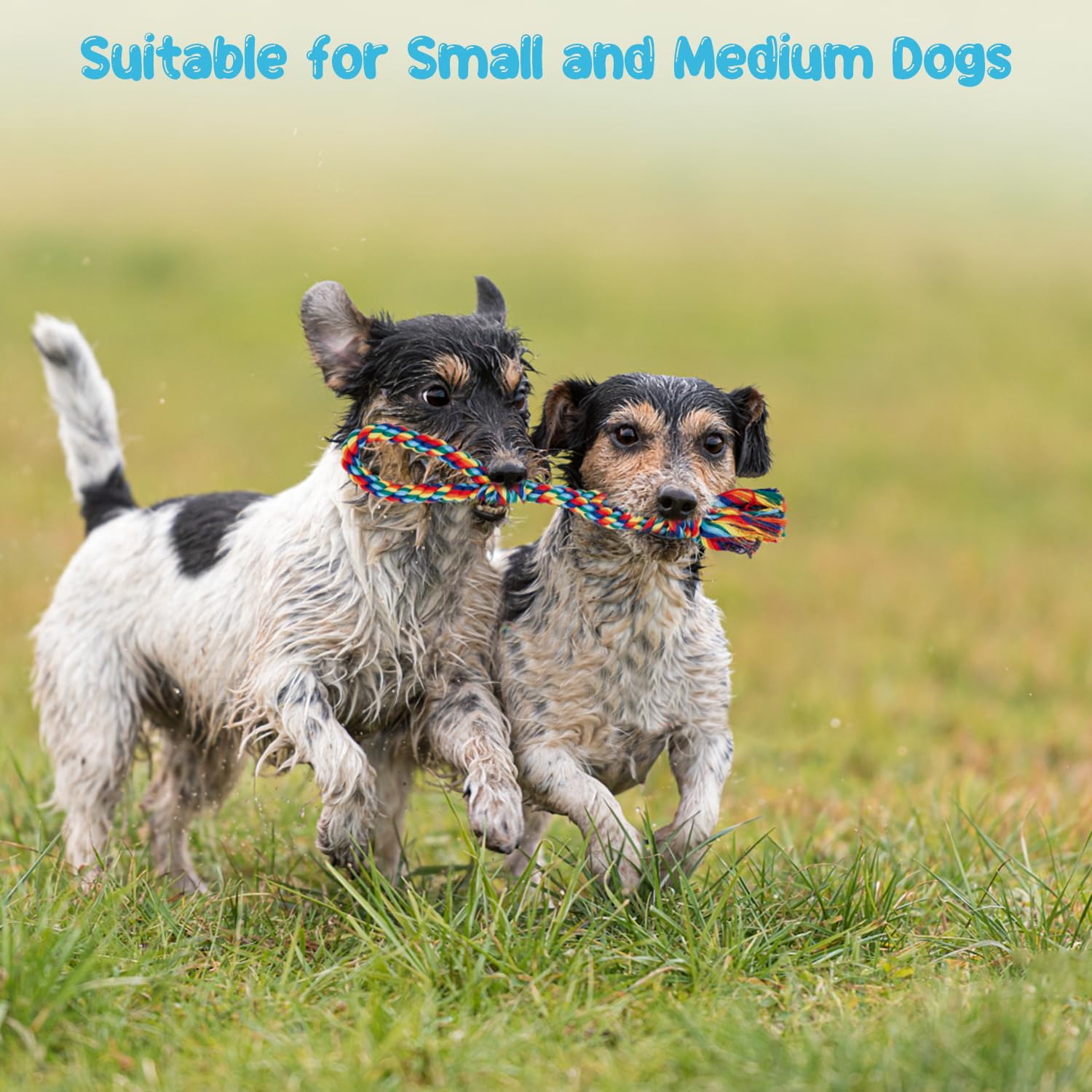 Depets Dog Rope Toy, 4Pcs Assorted Puppy Chew Toy Pack, Durable Rope Knot Dog Toy, Puppy Teething Playing Toys For Small Dogs Pu