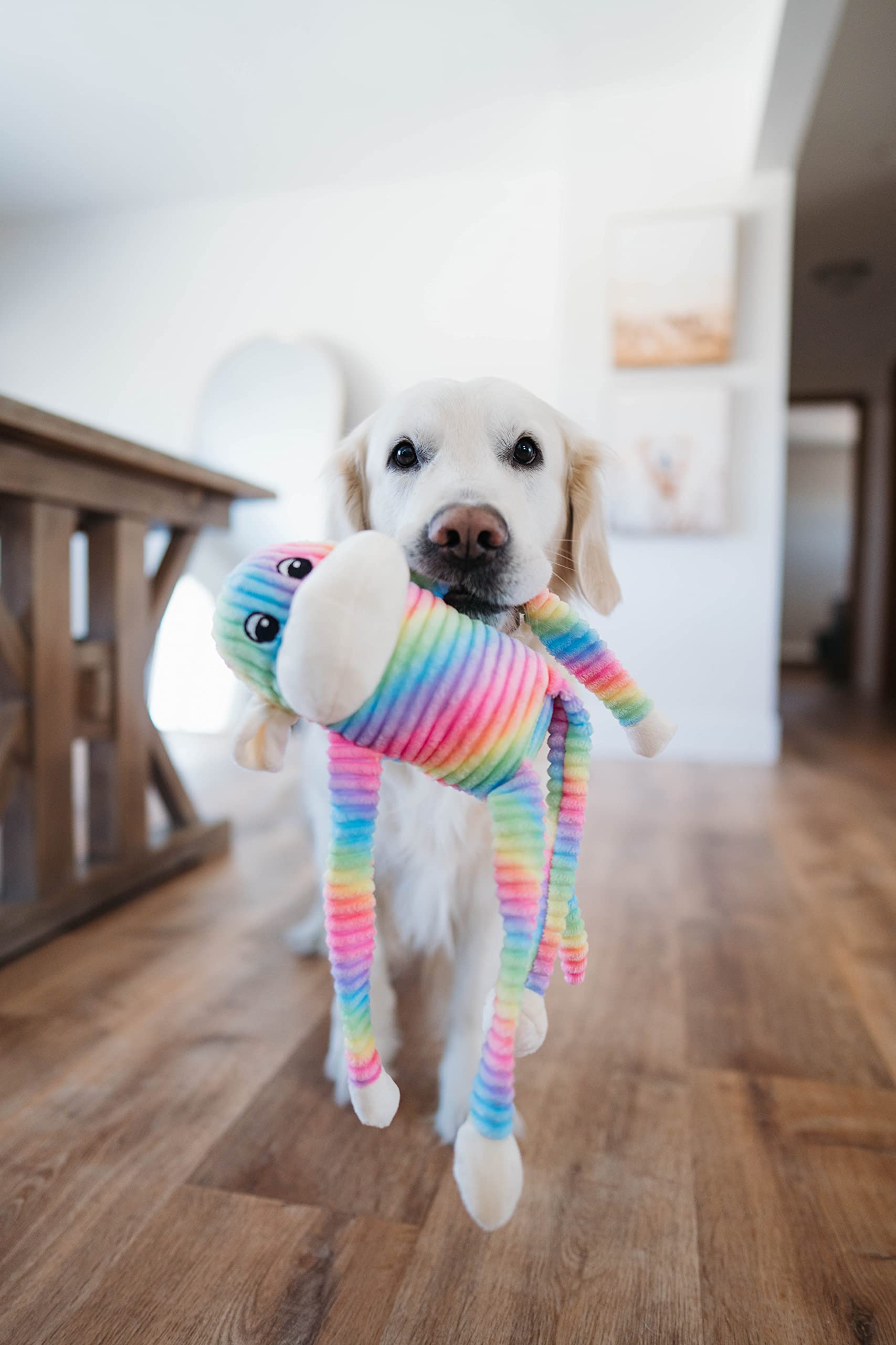 Zippypaws - Spencer The Crinkle Monkey Dog Toy, Squeaker And Crinkle Plush Toy - Rainbow, Large