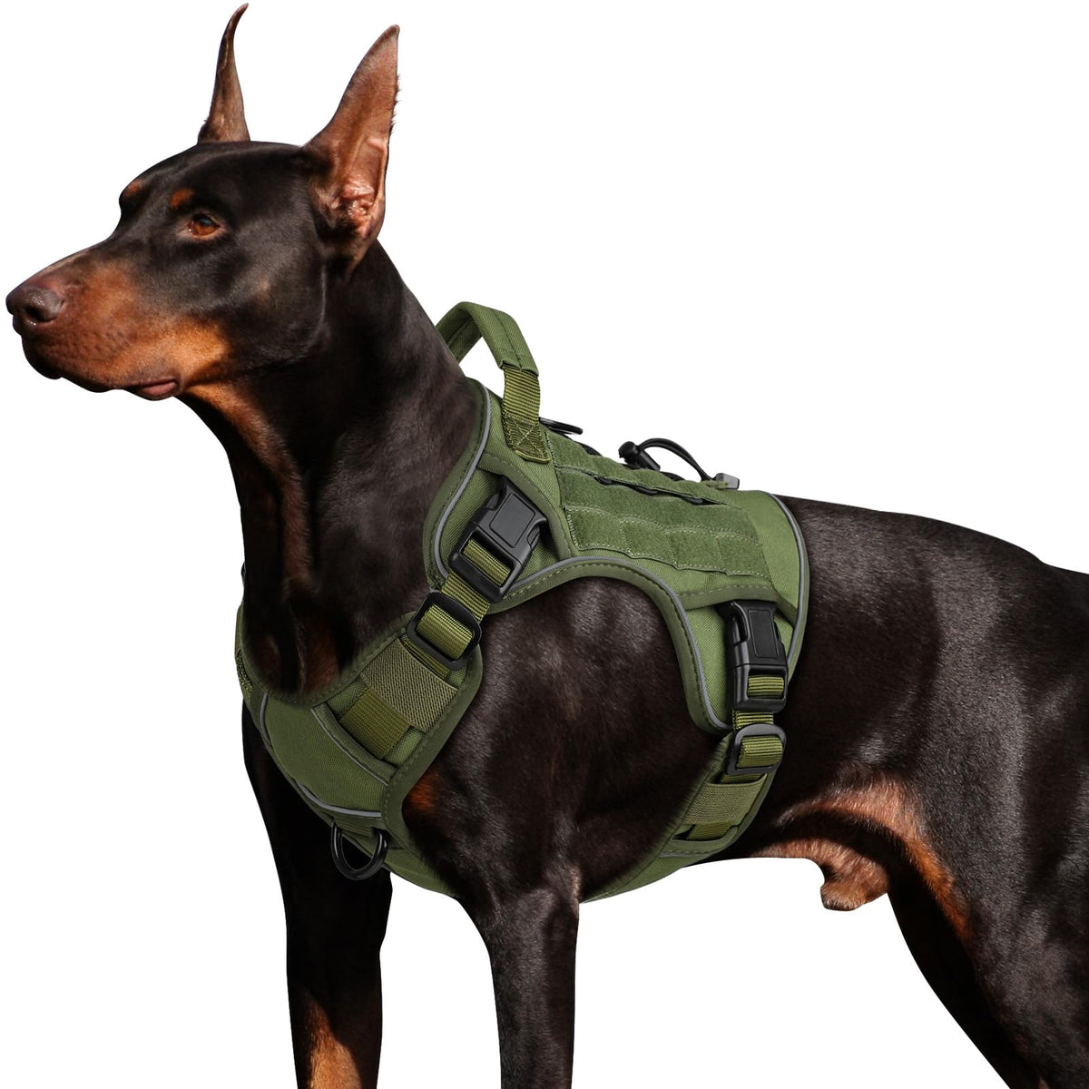 Wingoin Green Harness With Handle Tactical Dog Harness For Large Dogs No Pull Adjustable Reflective K9 Military Dog Vest Harnesses With Easy Control Handle And Hook & Loop Pa(Xl)