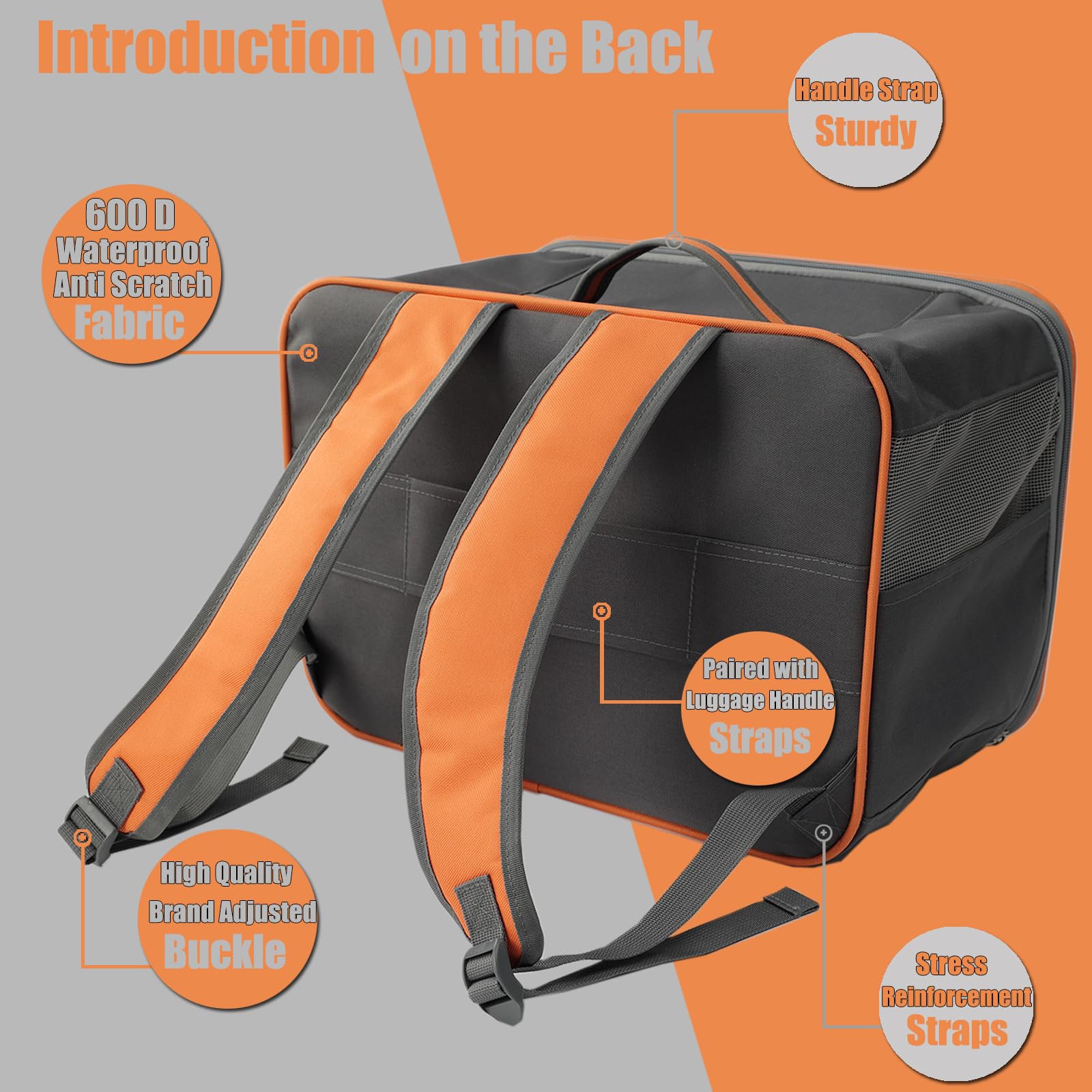 Patazone Cats Backpack For Small Dog Puppy Carrier Cat Pups Bag Breathable Mesh,For Kitties/Puppies/Bunny Rabbit Travel Hiking O