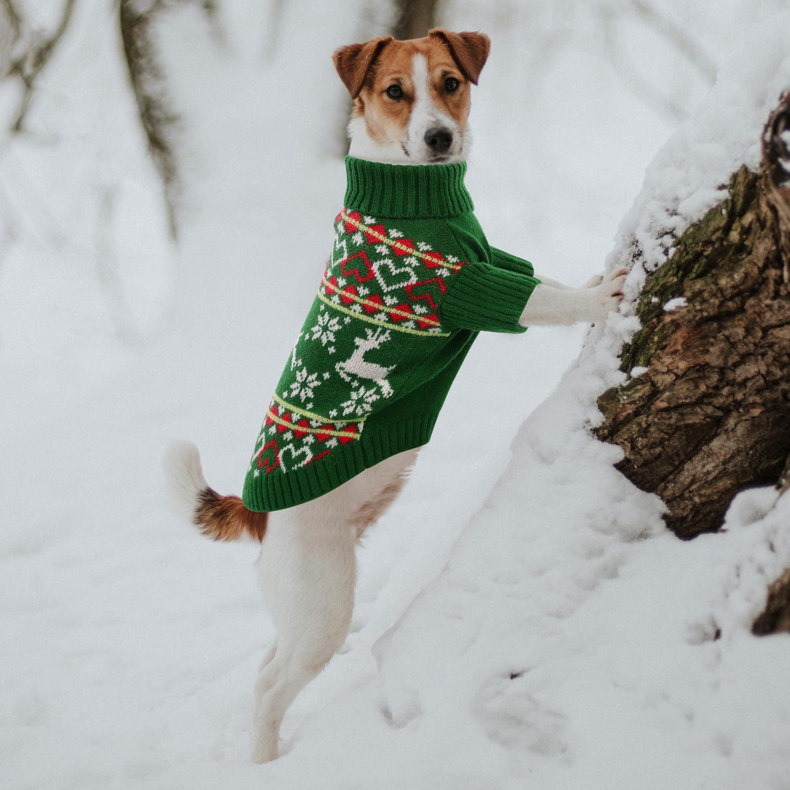 Queenmore Christmas Sweater, Turtleneck Knitted Pullover Xmas Clothes Sweatshirt, Outfit For Small Dogs Boy Girl M