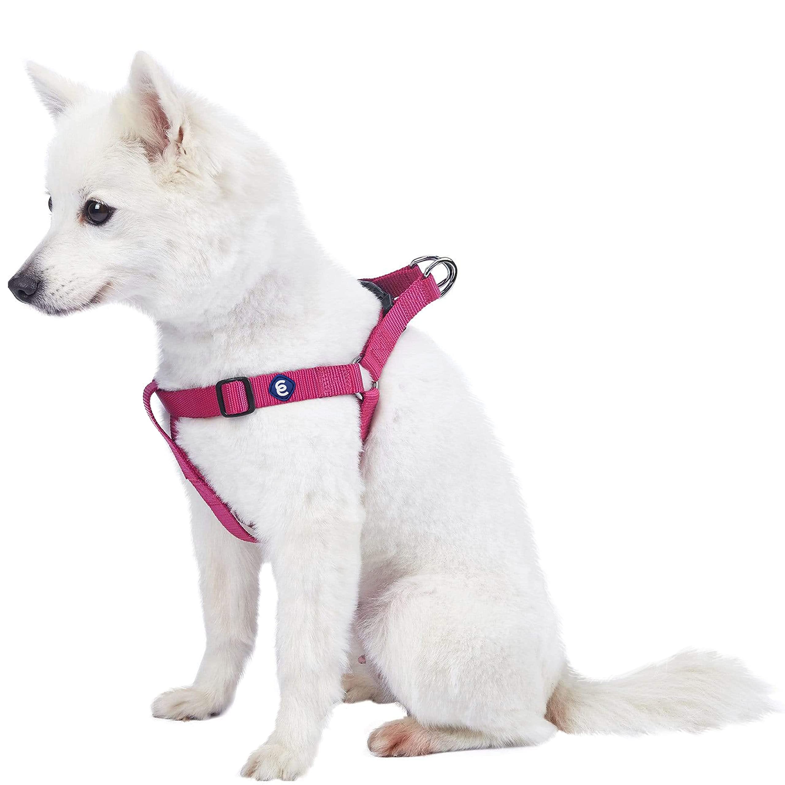 Blueberry Pet Essentials Classic Durable Solid Nylon Step-In Dog Harness, Chest Girth 20' - 26', Very Berry, Medium, Adjustable Harnesses For Puppy Boy Girl Dogs