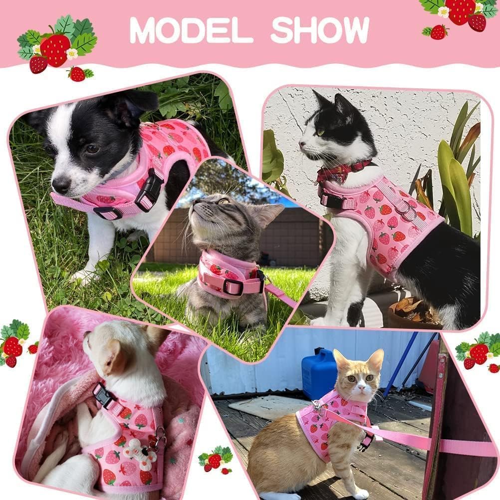 Bingpet Cat Harness With Leash Escape Proof - Fashionable Mesh Cat Dog Walking Harness Leads, Adjustable For Kitties Puppies Small Animals