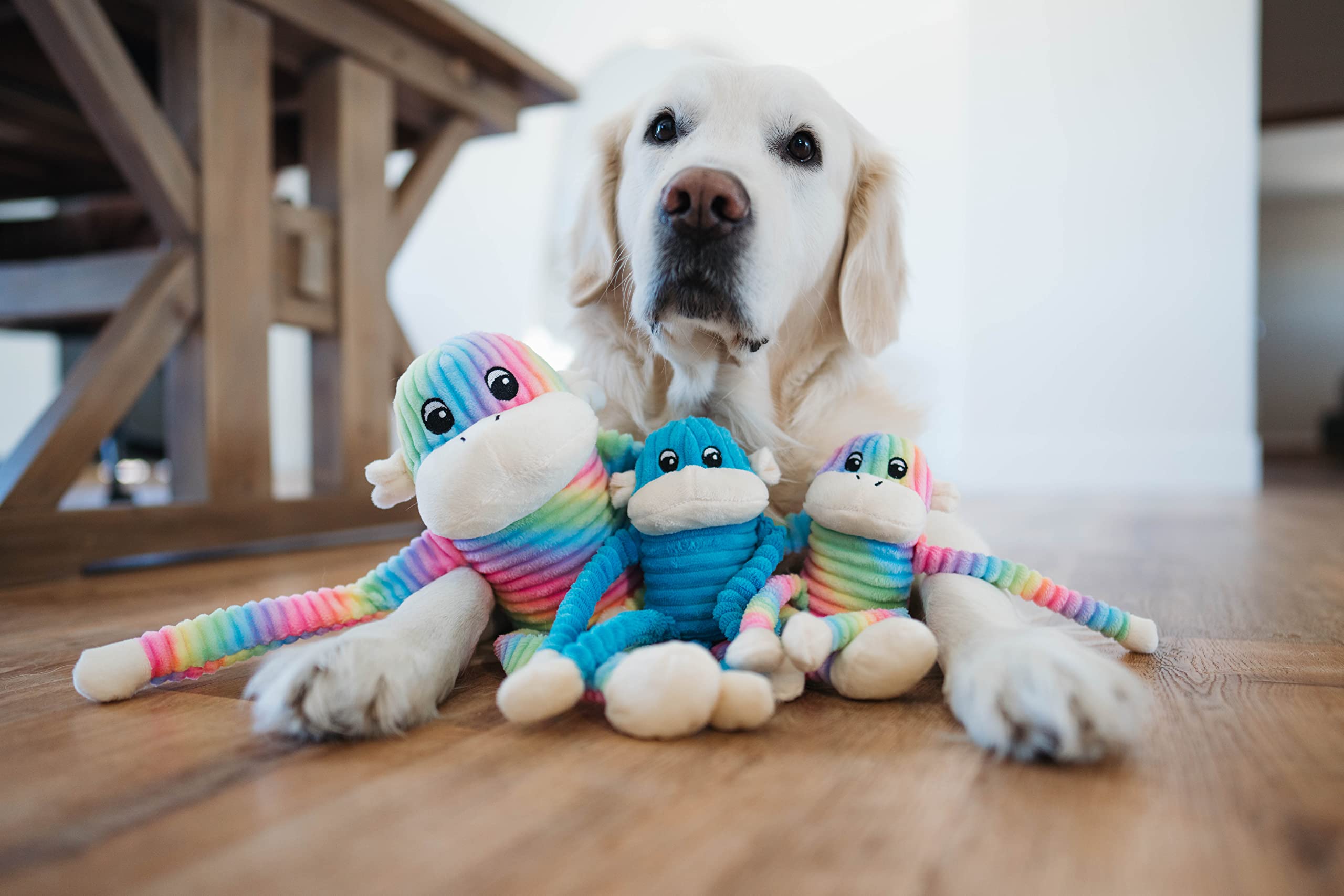 Zippypaws - Spencer The Crinkle Monkey, Colorful Dog Toy With Squeakers, Plush Dog Toys For Aggressive Chewers, Summer Dog Toys, Dog Pride Accessories