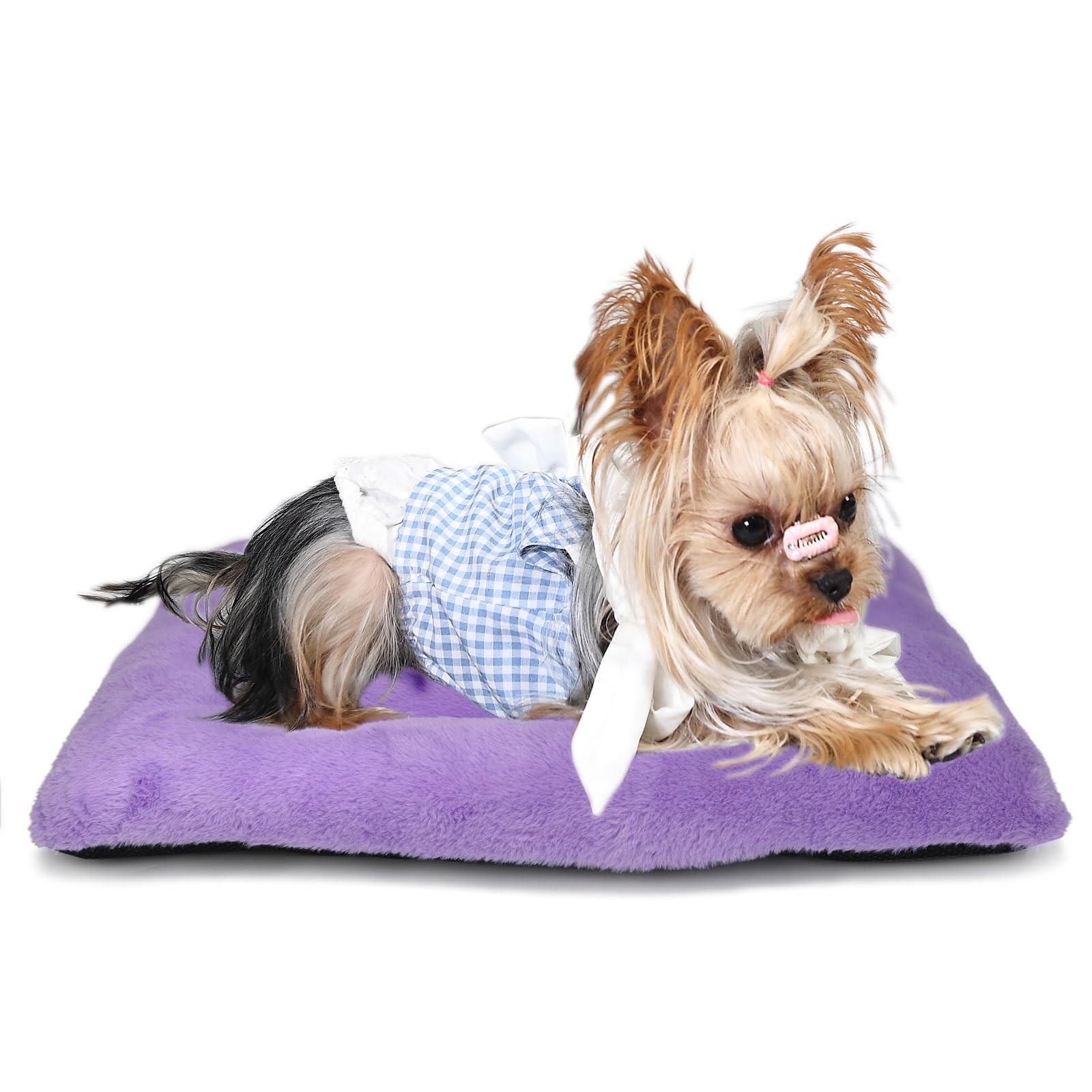 Extra Small Dog Bed For Crates 18 Super Soft Plush Indoor Pet Bed For Dogs, Puppies, Cats, And Rabbits Purple