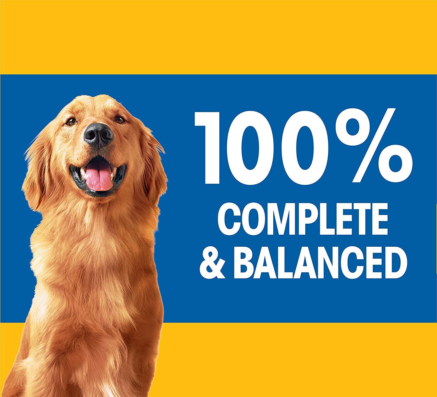 Pedigree Choice Cuts In Gravy Adult Canned Soft Wet Dog Food With Beef, 13.2 oz. Cans (12 Count, Pack of 1)