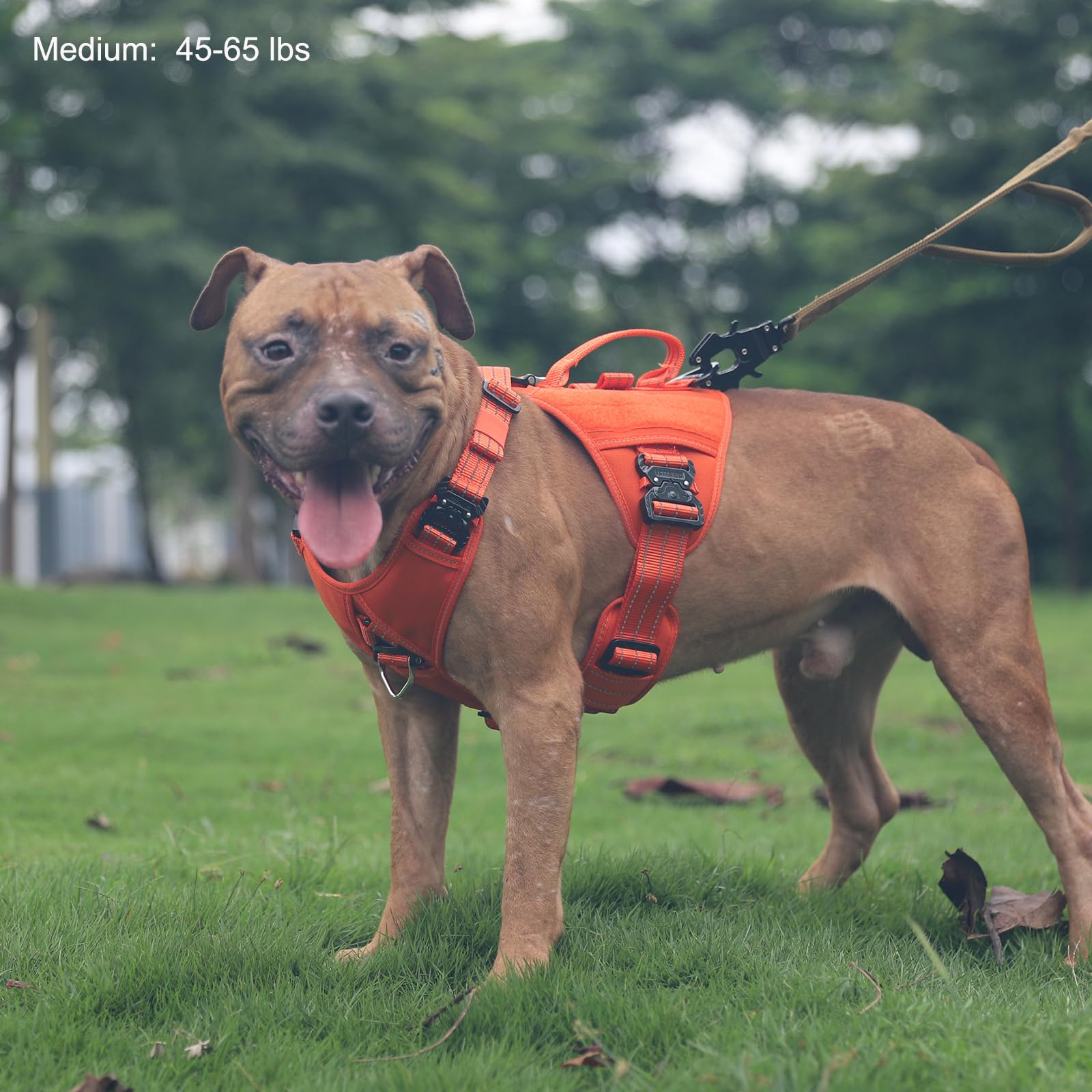 Icefang Gn8 Quick-Moving Tactical Dog Harness With Handle,Reflective In Training Walking K9 Vest,No-Pull Front Lead,5-Points Adjustable,Hook And Loop Panels (Elite Orange, Medium (Pack Of 1))