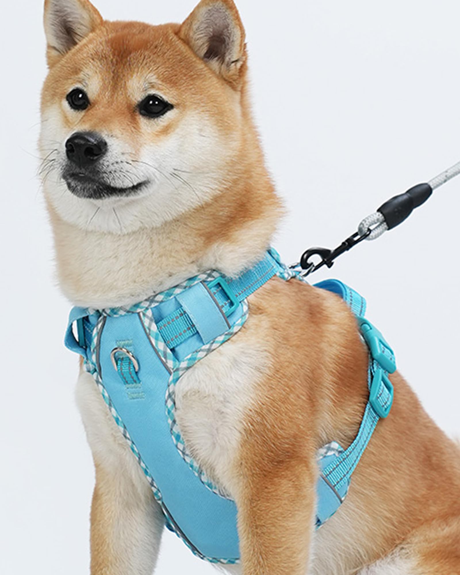 Petank Dog Harness Small Sized Dog, Puppy Harness Small Size Dog For Dog Training Walking, No Pull Dog Harness For Small Dogs, S