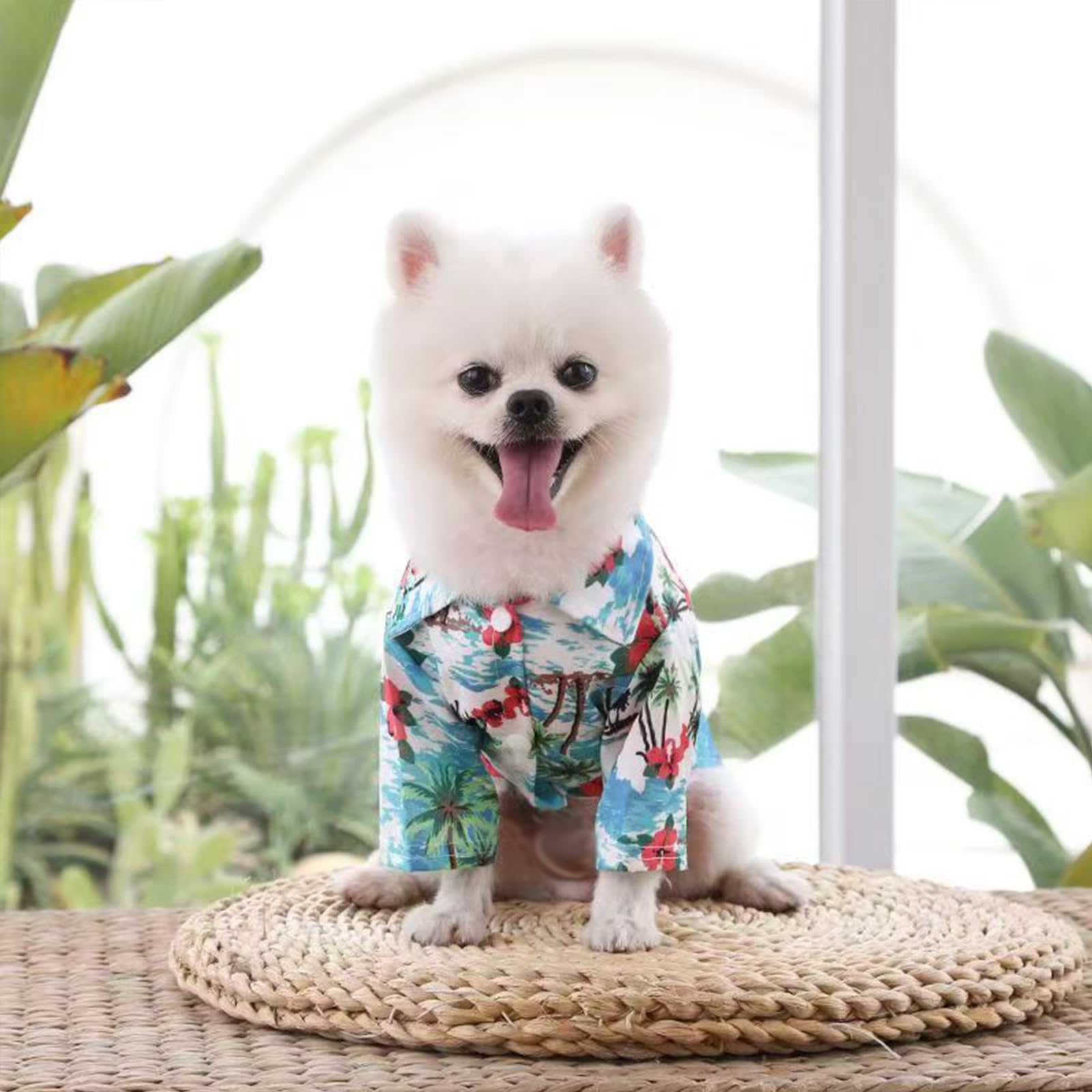 Hawaiian Shirt For Small Dogs & Cats - Lightweight Breathable Pet Tshirt With Vibrant Fade-Resistant Colors For Small Dog Cat Da